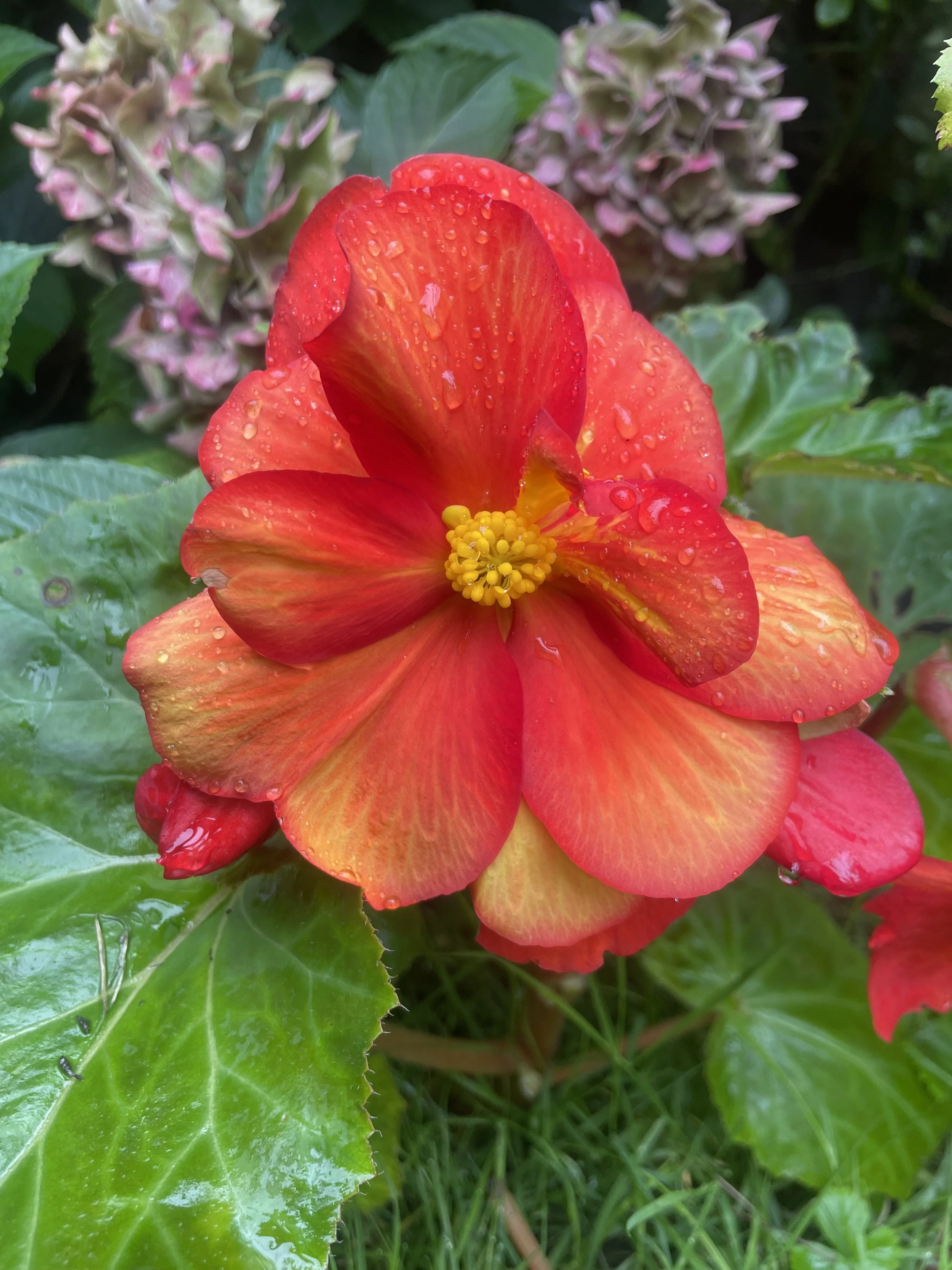 Schreiben & Sprechen