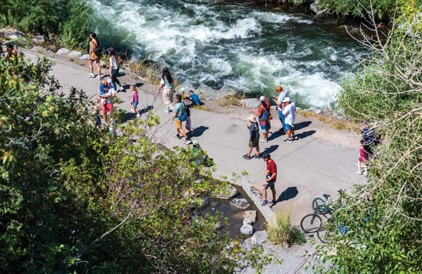 A 3,100 Mile Trail Vision