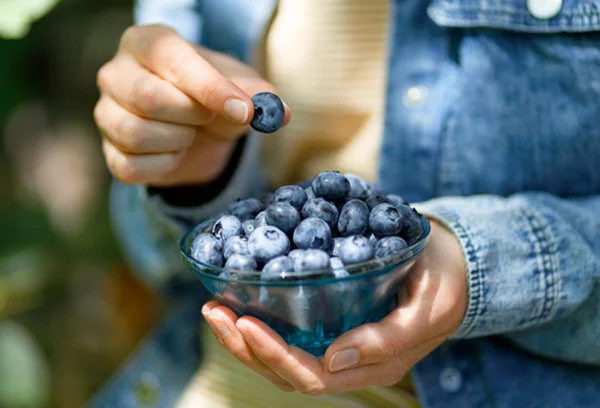 Don’t Quit Your Blueberries