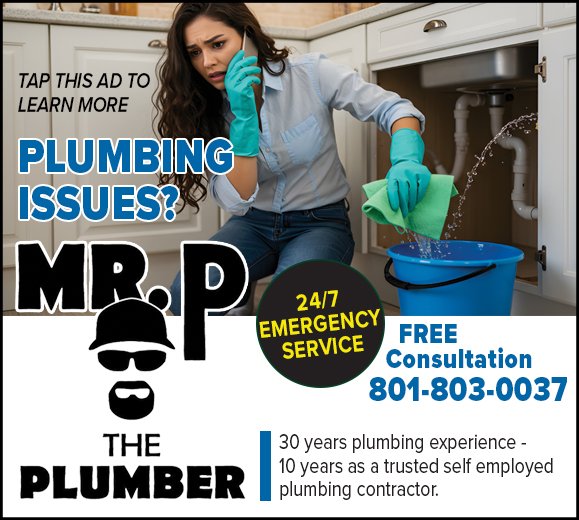 Mr P The Plumber offers 24-7 emergency service.jpg