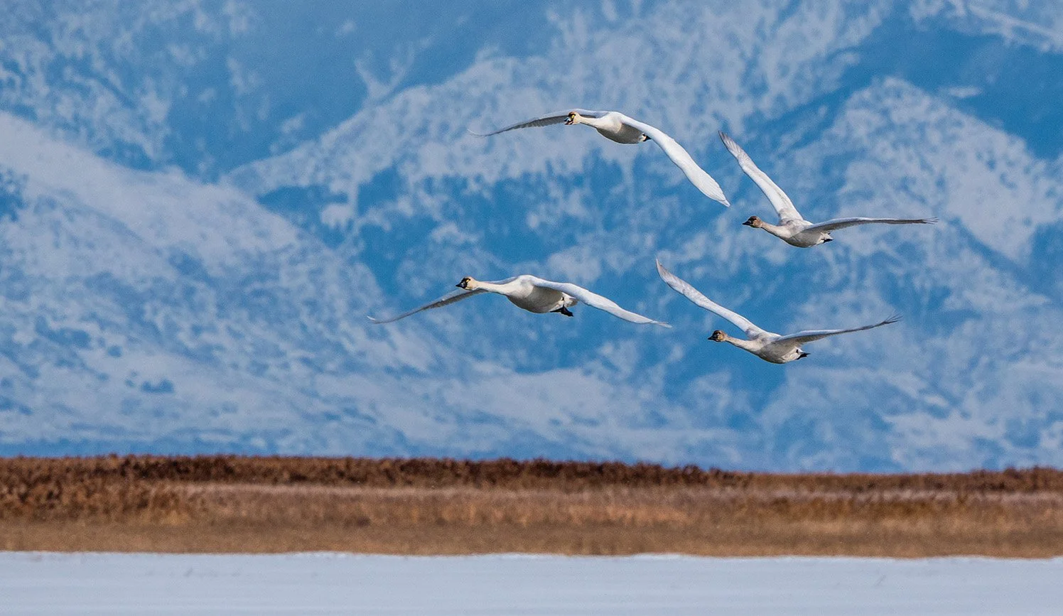 A Drained Reservoir Sends 3 Billion Gallons to the Great Salt Lake