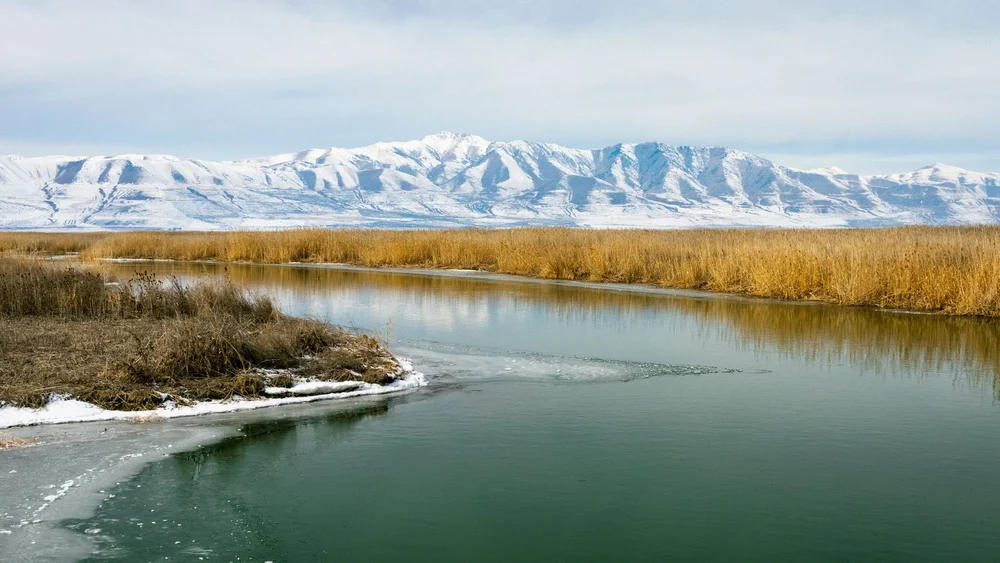The Bear River emptying into the Great Salt Lake