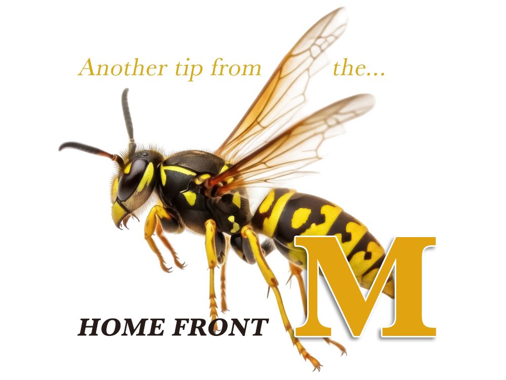 Before the Buzz: A Wasatch Front Spring Pest Primer