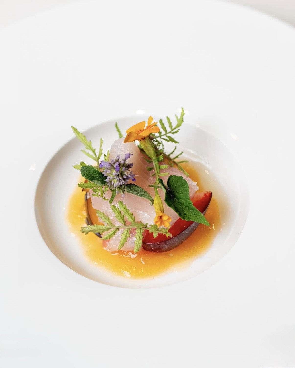 Justin Fulton / Margot (Denver)