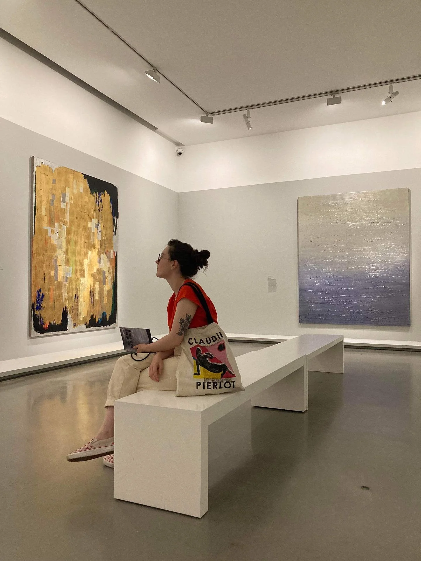 Anna-Eva Bergman au MAM