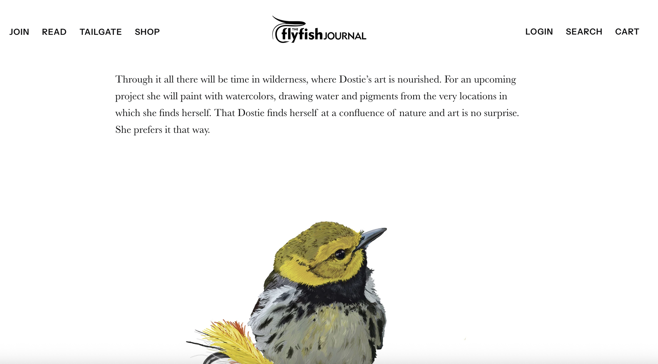 one time in covid lockdown i did a series of rangeley region classic streamers designed by women, reclaimed by migratory songbirds you might hear/see while fishing them. they hold a special place in my heart. The Flyfish Journal also featured my work