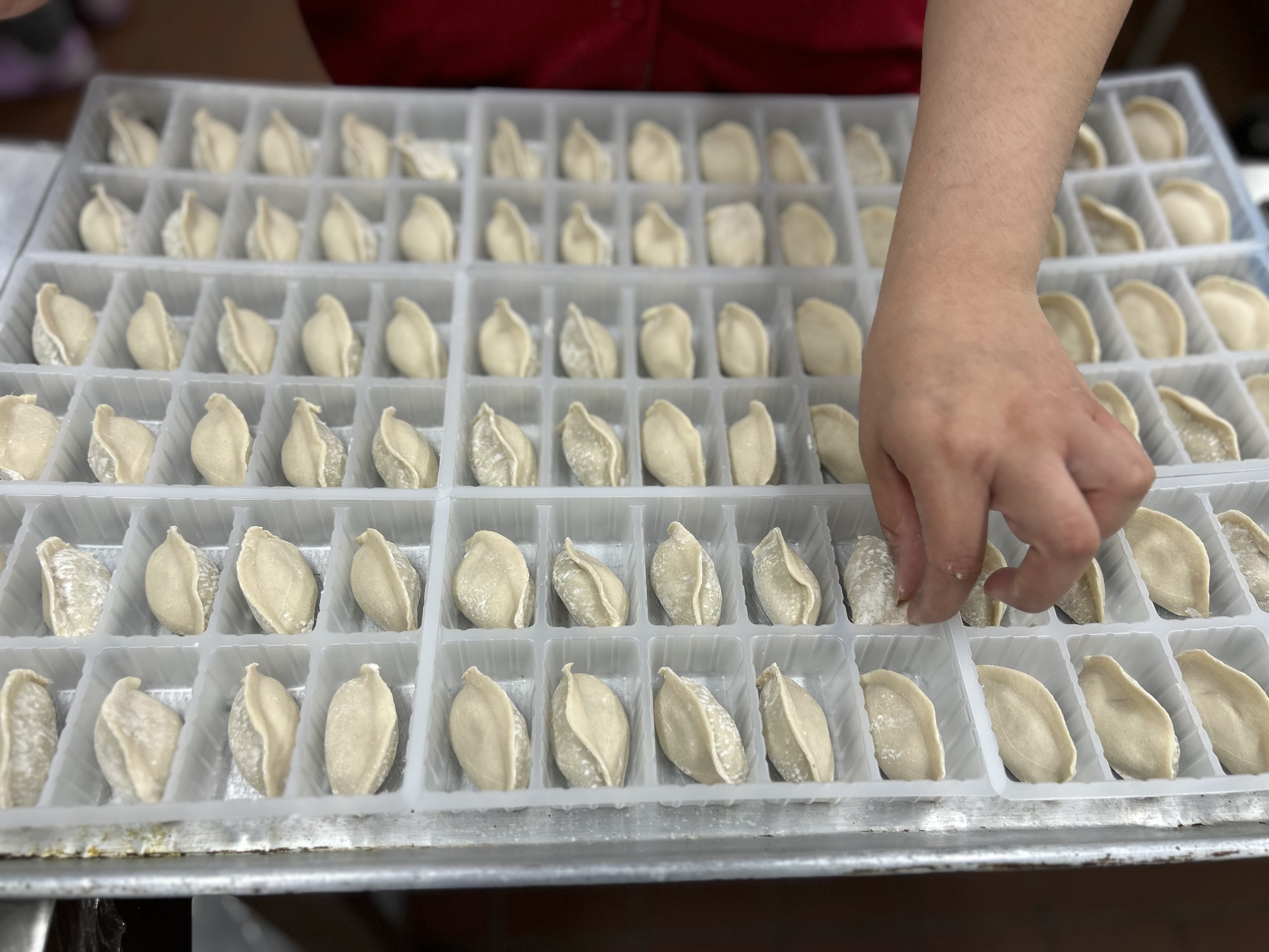 A person's hand placing uncovered dumplings into a plastic tray with divided compartments for freezing or storing.