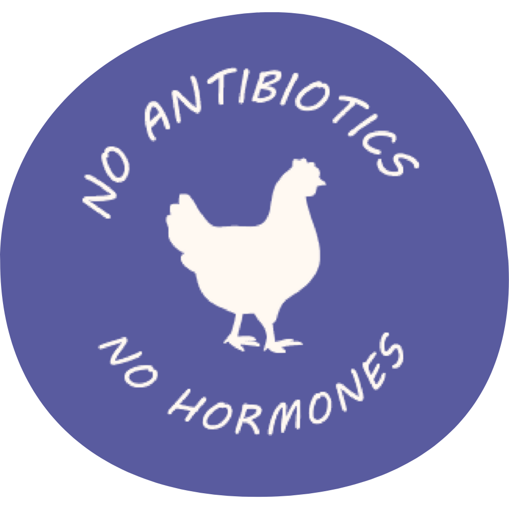 No antibiotics or hormones label with a white chicken silhouette on a blue background.