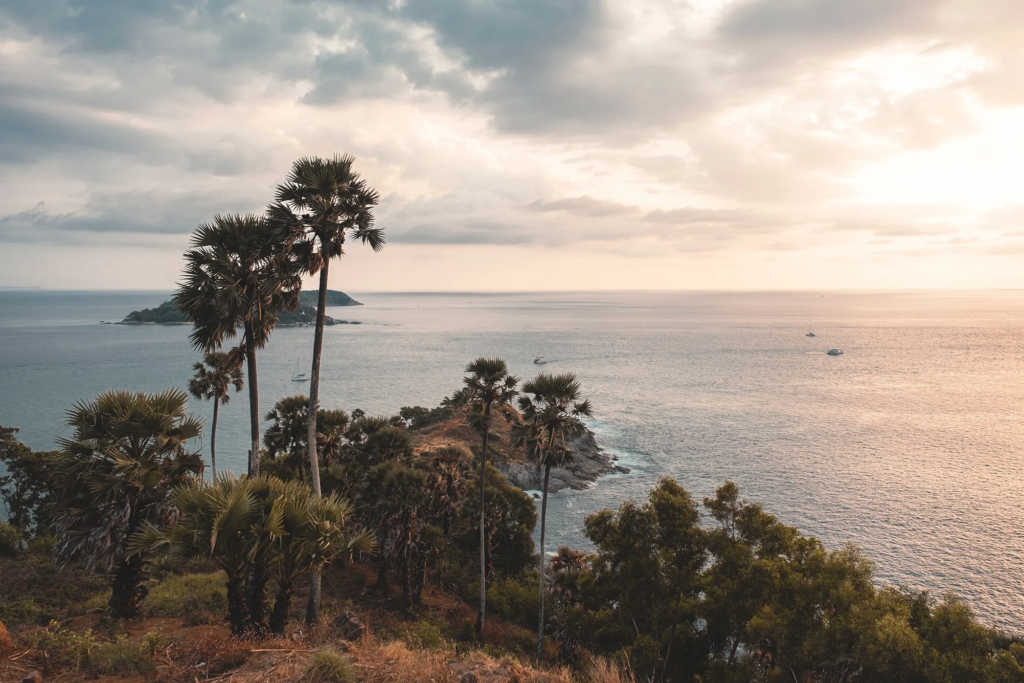 Paysage côtier avec des palmiers, une mer calme, et un ciel nuageux au coucher du soleil.