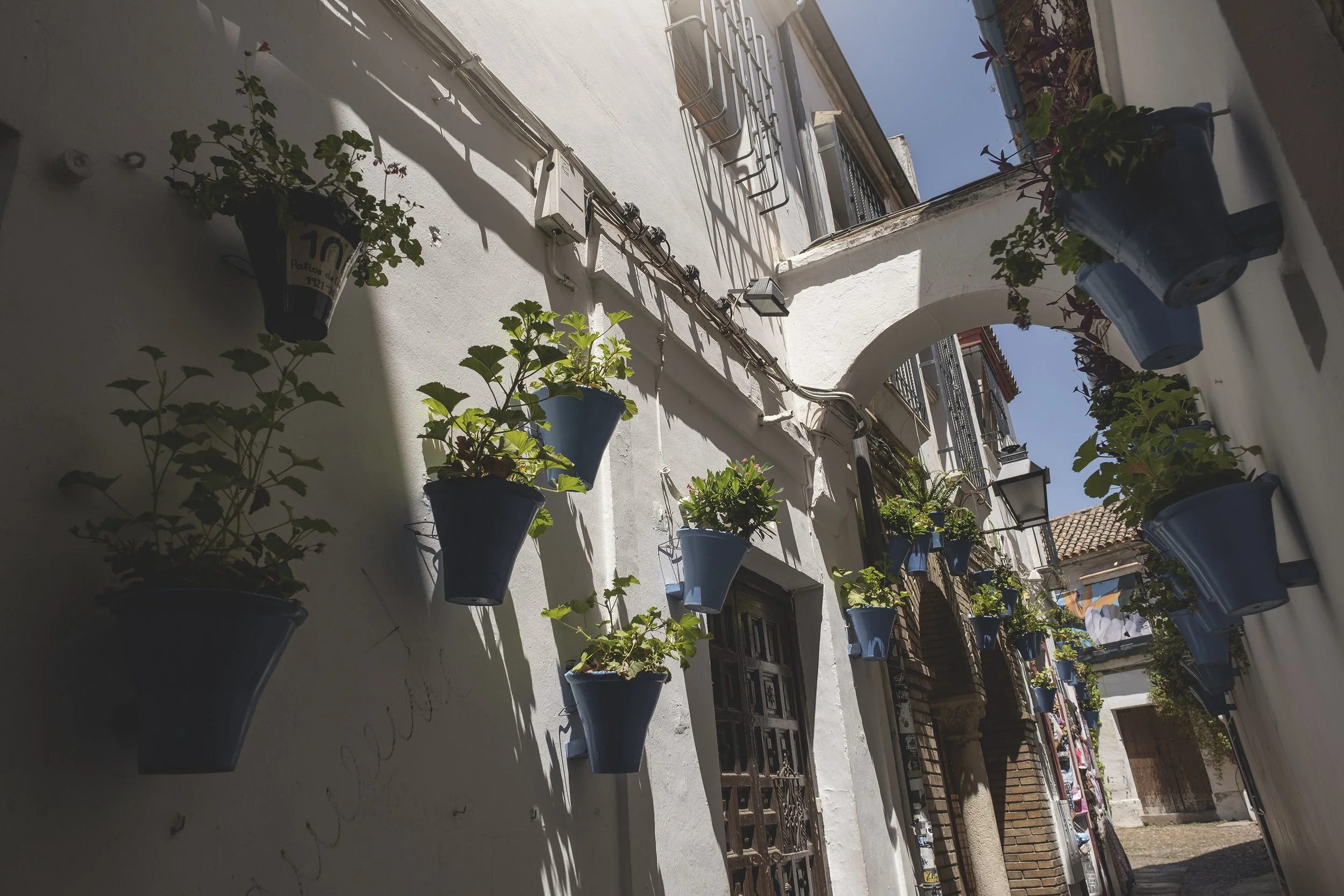 Rue pavée avec des murs blancs décorés de pots de fleurs bleus et un arc en pierre au-dessus d'une porte.