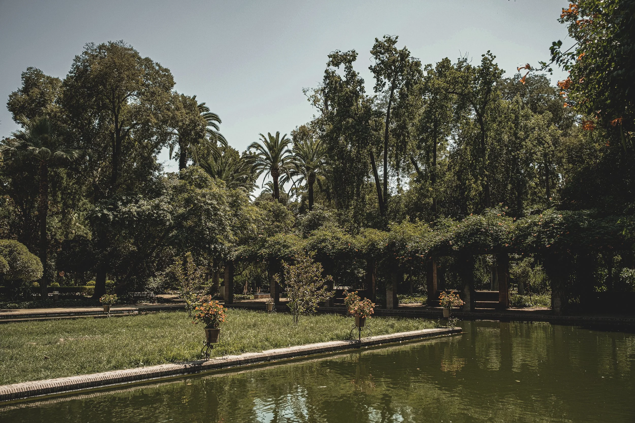 Jardin avec un étang, arbres hauts et palmiers, et des fleurs en pot sur le bord de l'eau.