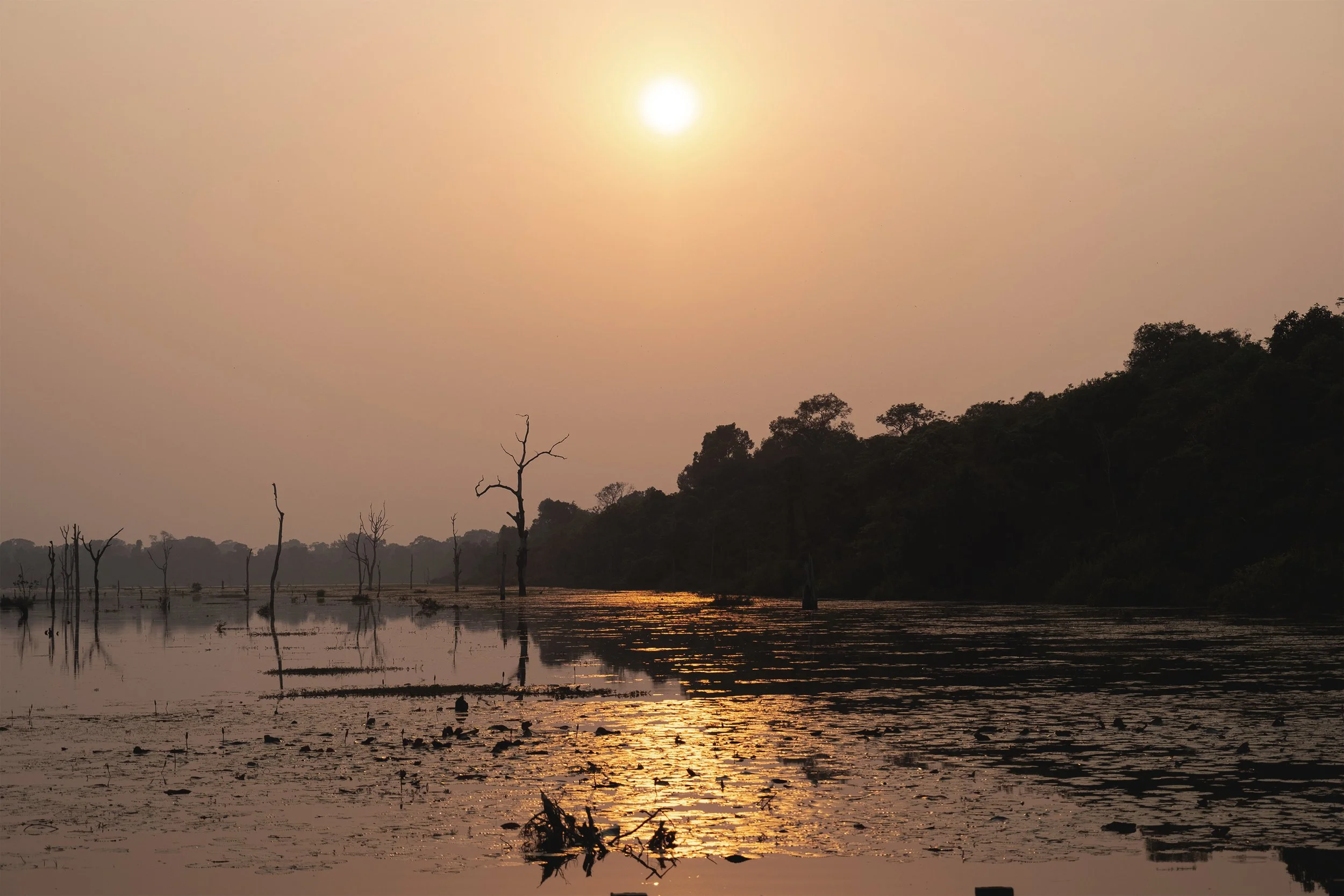 Coucher de soleil sur une rivière bordée d'arbres dénudés et d'une forêt dense à l'arrière-plan, avec la lumière du soleil se reflétant sur l'eau