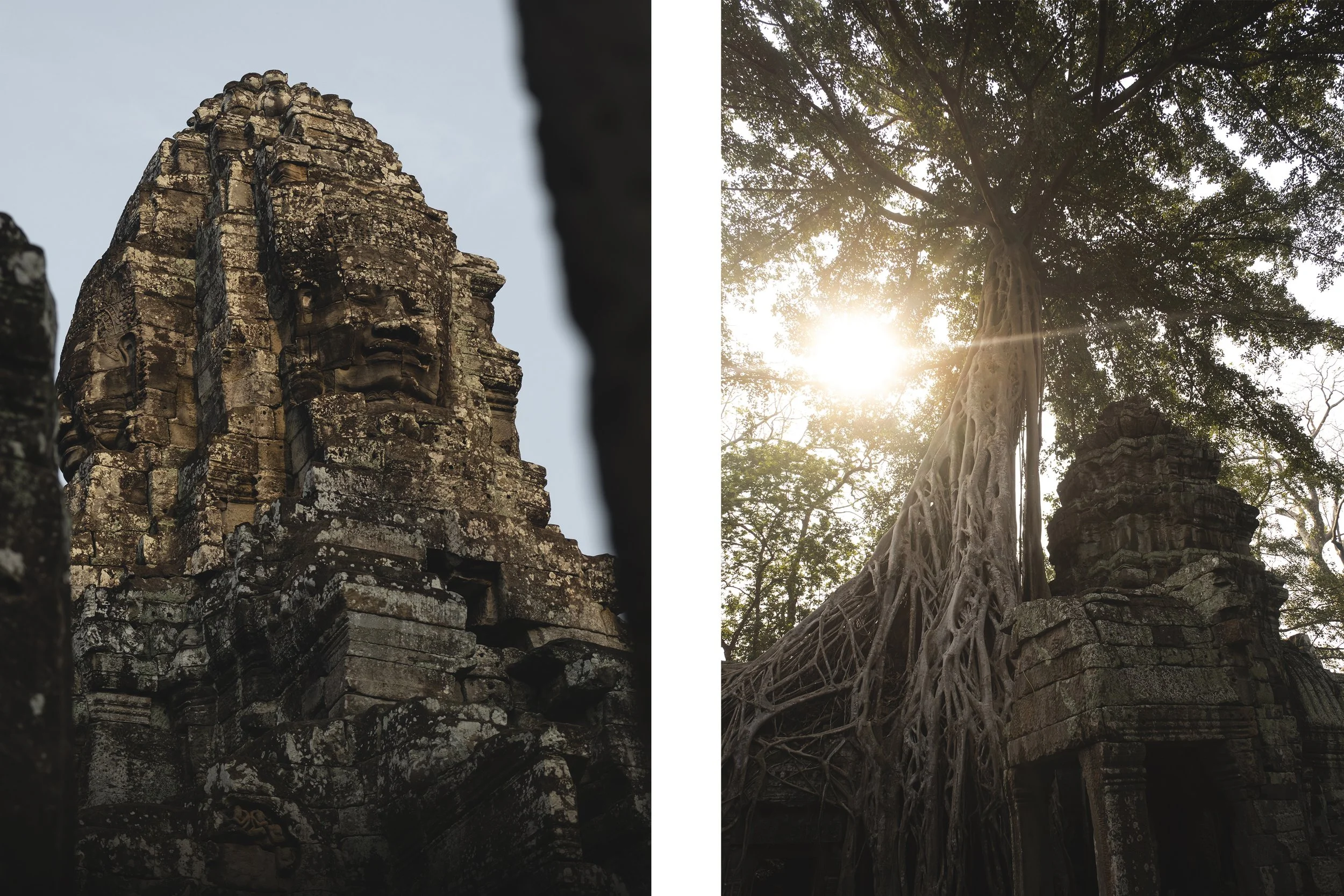 Une ancienne tour en pierre avec des sculptures de visages, et une autre tour en pierre envahie par de grands arbres dont les racines descendent le long de la structure, dans un environnement forestier avec le soleil brillant dans le ciel.