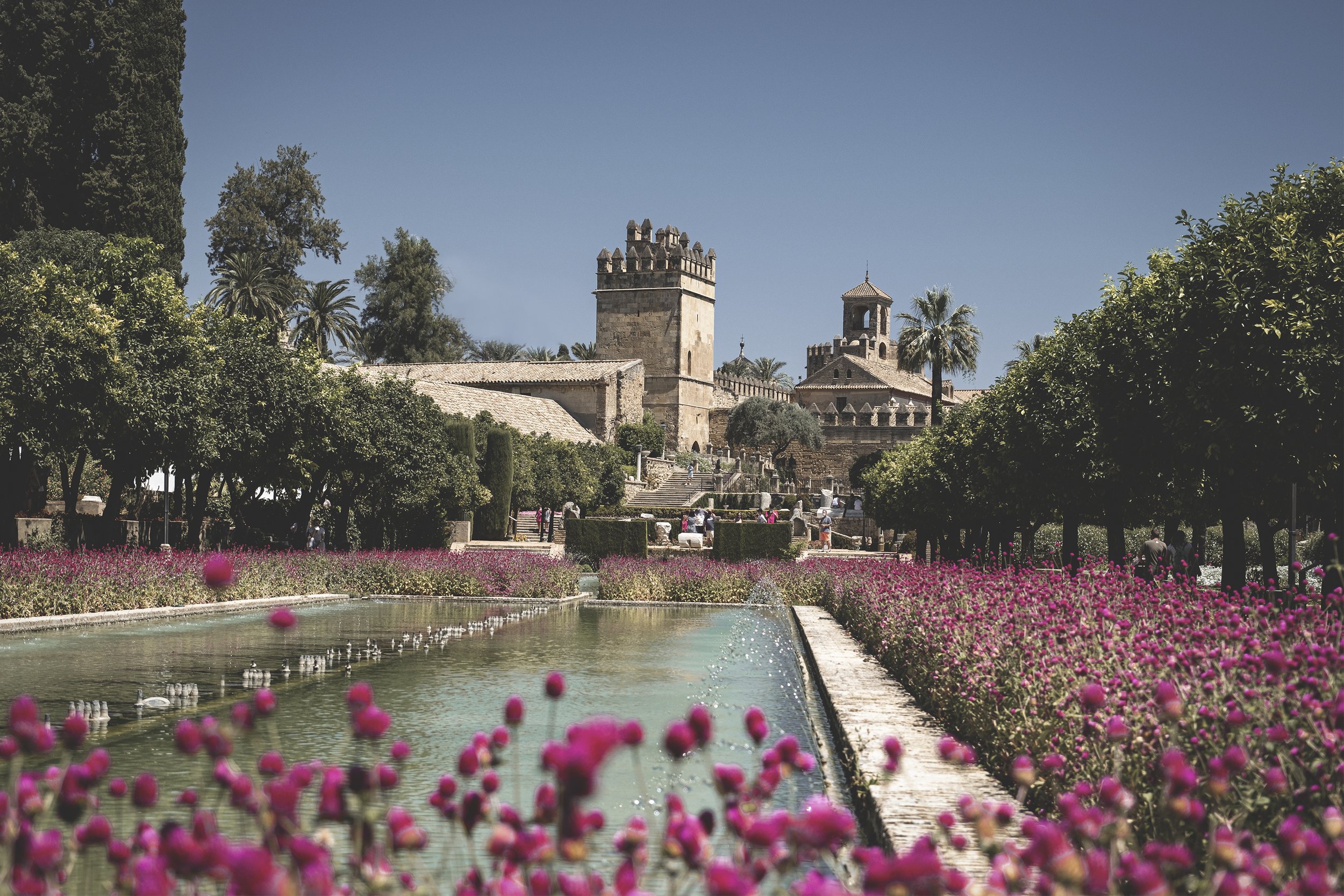 Un jardin avec une fontaine au premier plan, entouré de fleurs roses, avec des arbres et un château en arrière-plan sous un ciel bleu clair.