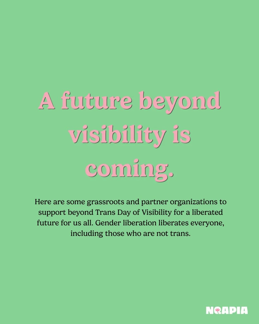This Trans Day of Visibility, we&rsquo;re turning our attention to the grassroots and partner organizations doing the work year-round for gender expansive communities in the United States. 

Visibility is more than being seen. It&rsquo;s about resour