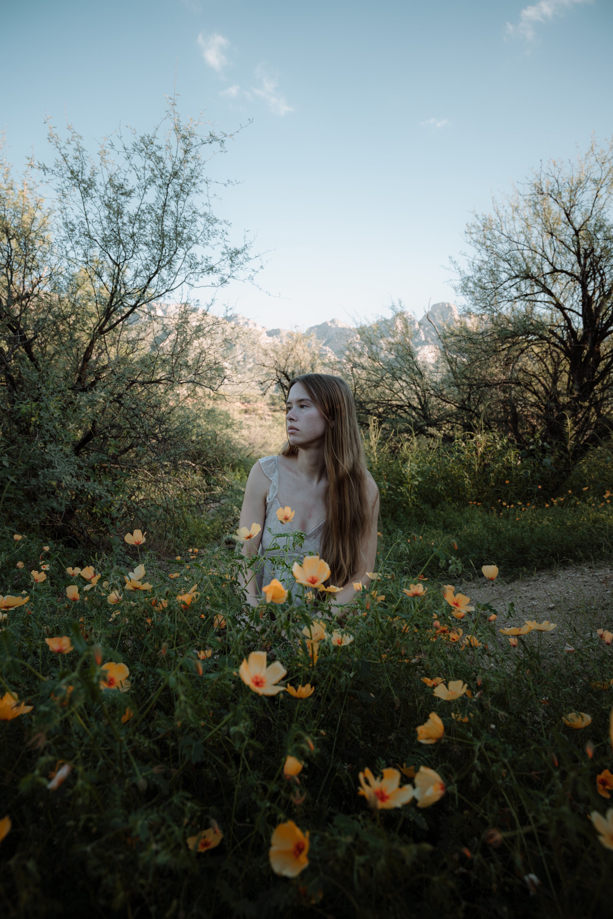 Rose CST-38.jpg