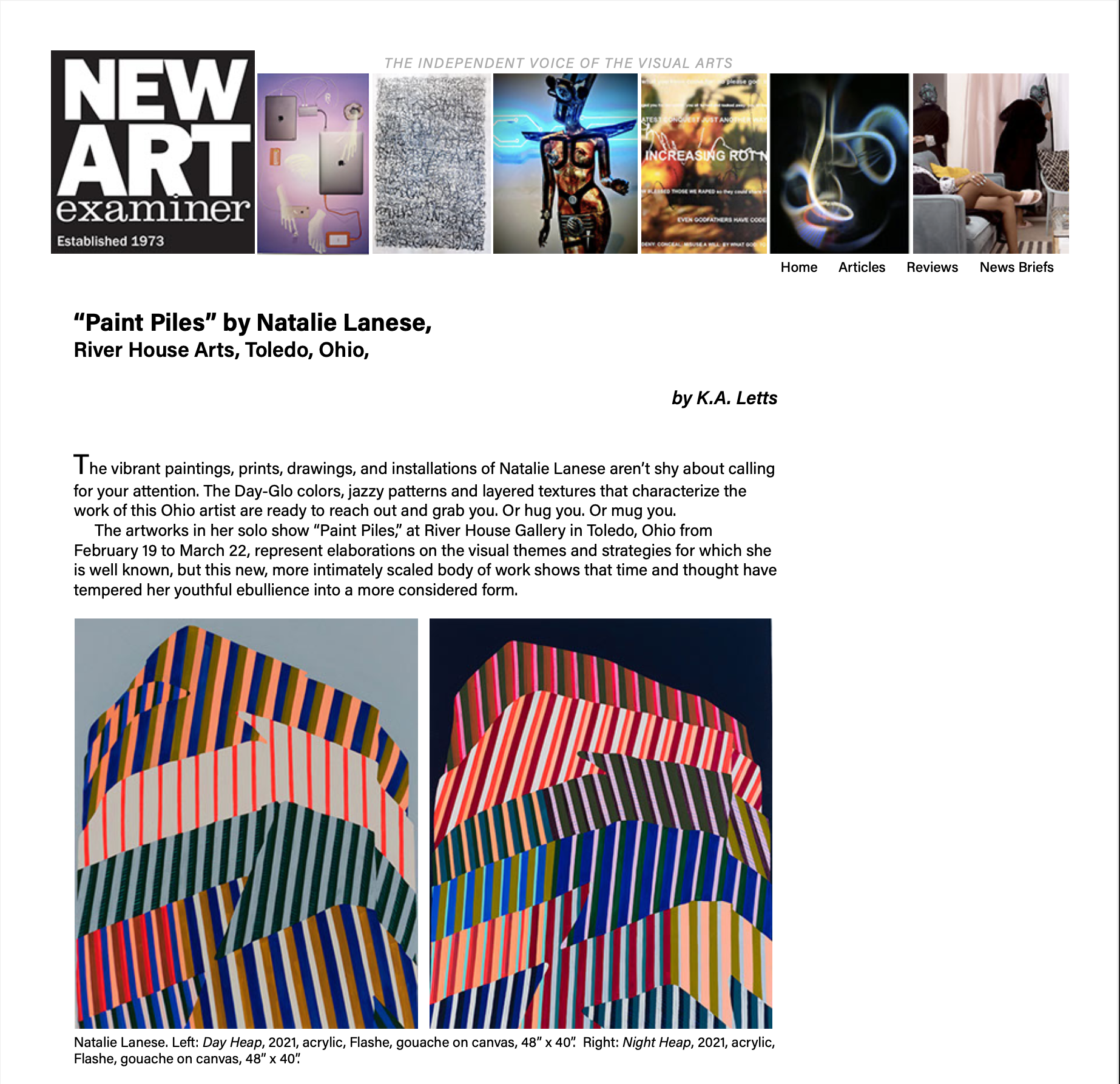"Paint Piles" Reviewed in New Art Examiner