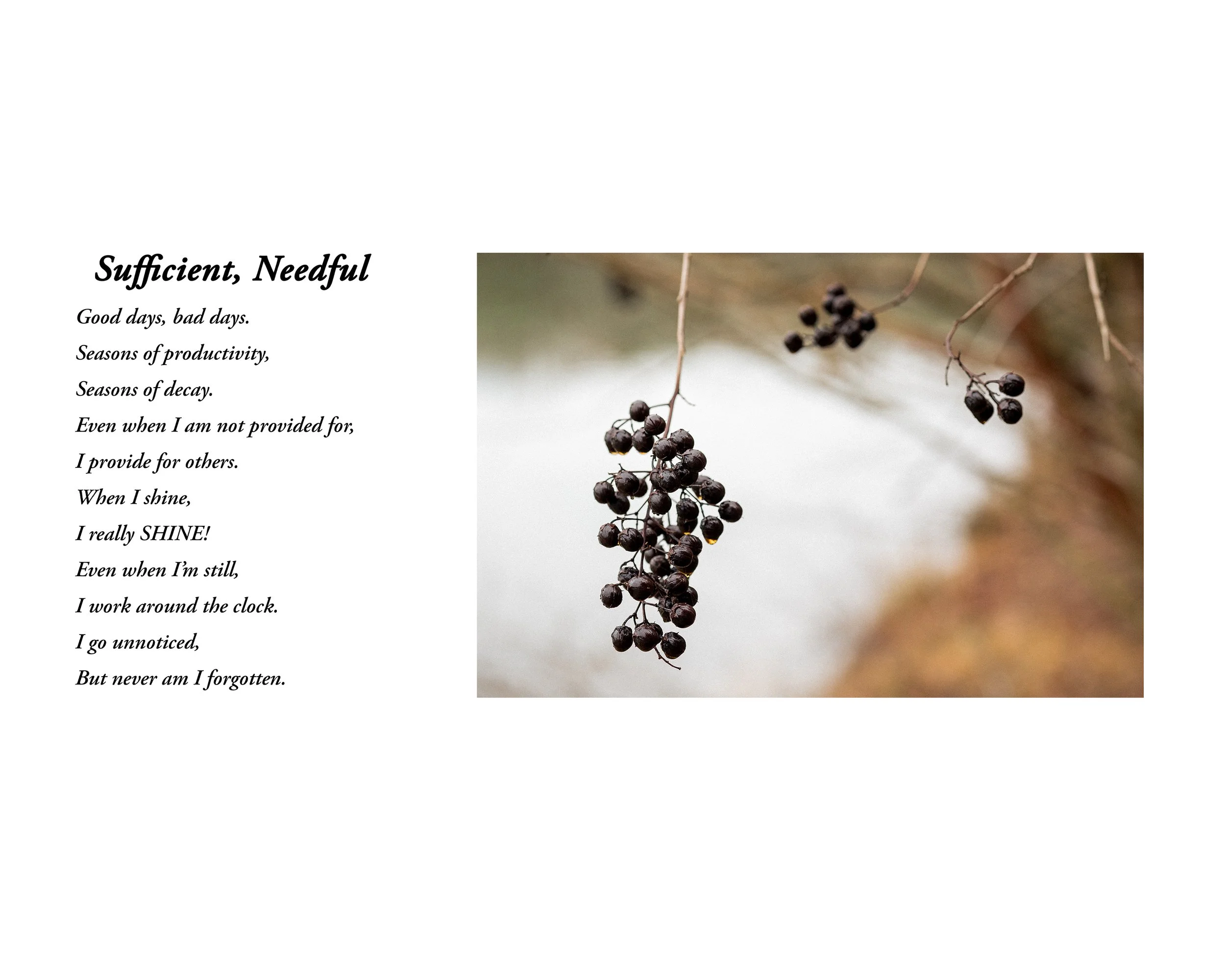 Sufficient Needful Poetry Print.jpg