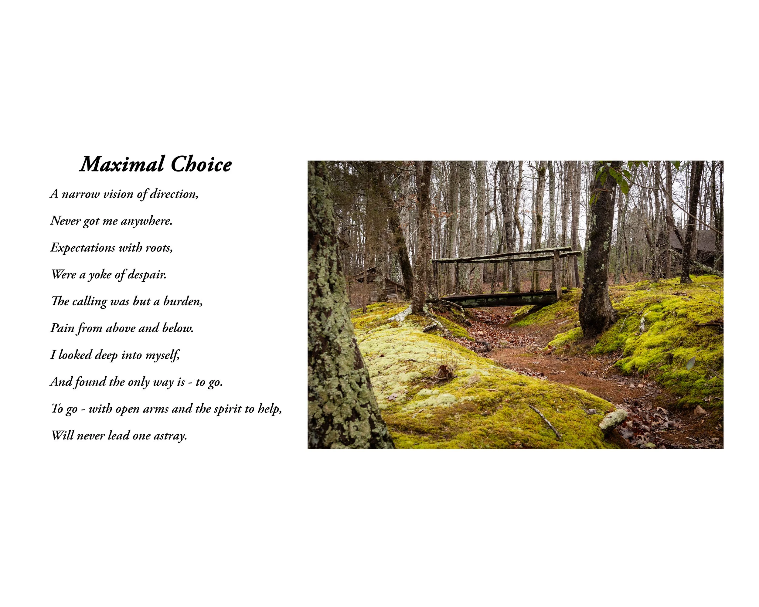 Maximal Choice Poetry Print.jpg
