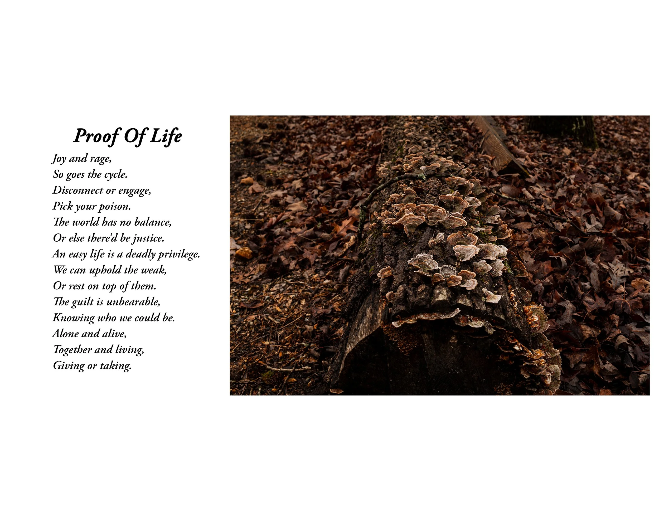 Proof of life poetry print.jpg