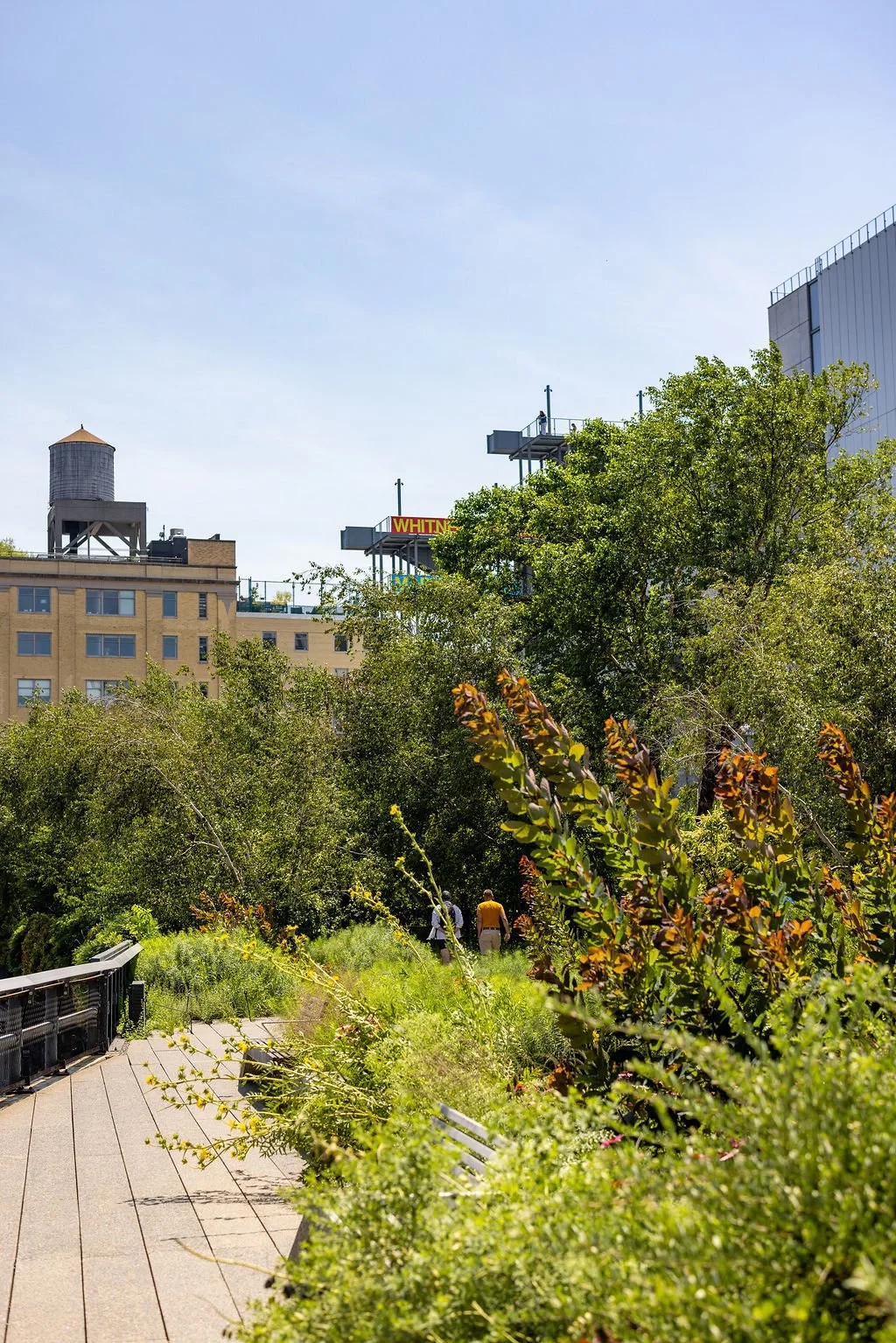 People walking along a lush, green park pathway in an urban area with tall buildings and a water tower in the background.