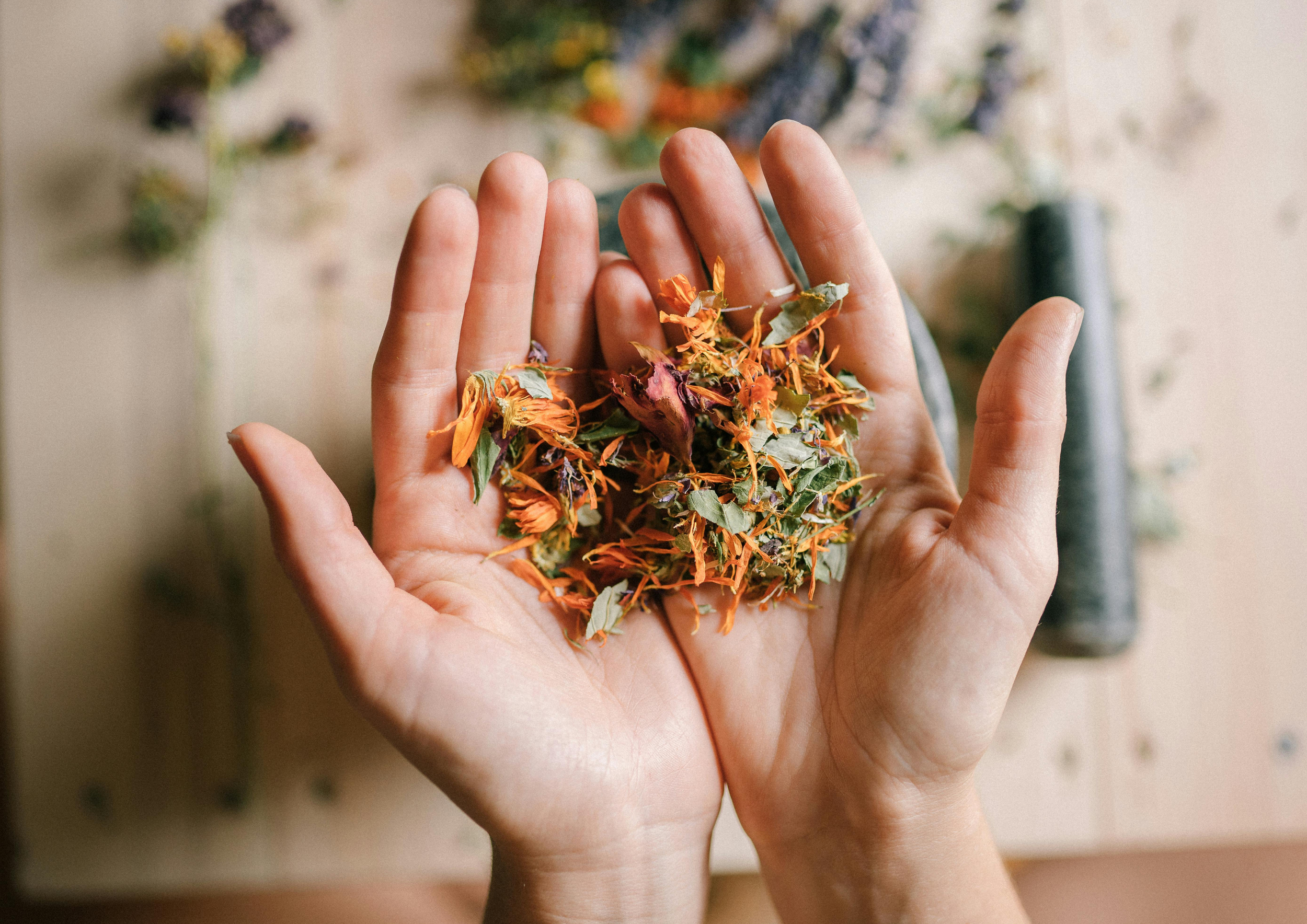 Someone holding a handful of dried herbal or floral material, with more in the background on a table.