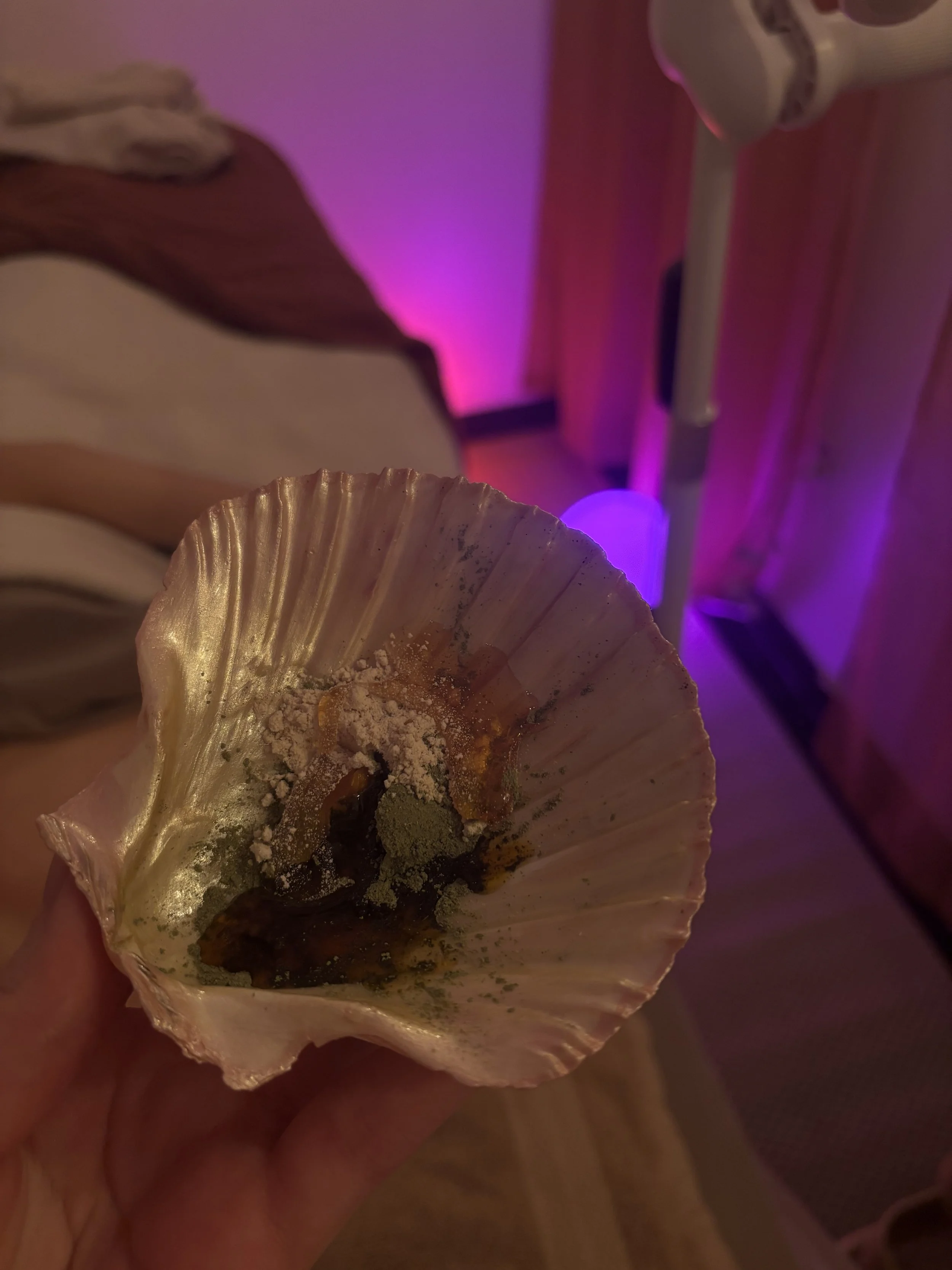 Hand holding a seashell with ash, herbs, and oil inside. Purple and pink ambient lighting in a bedroom.