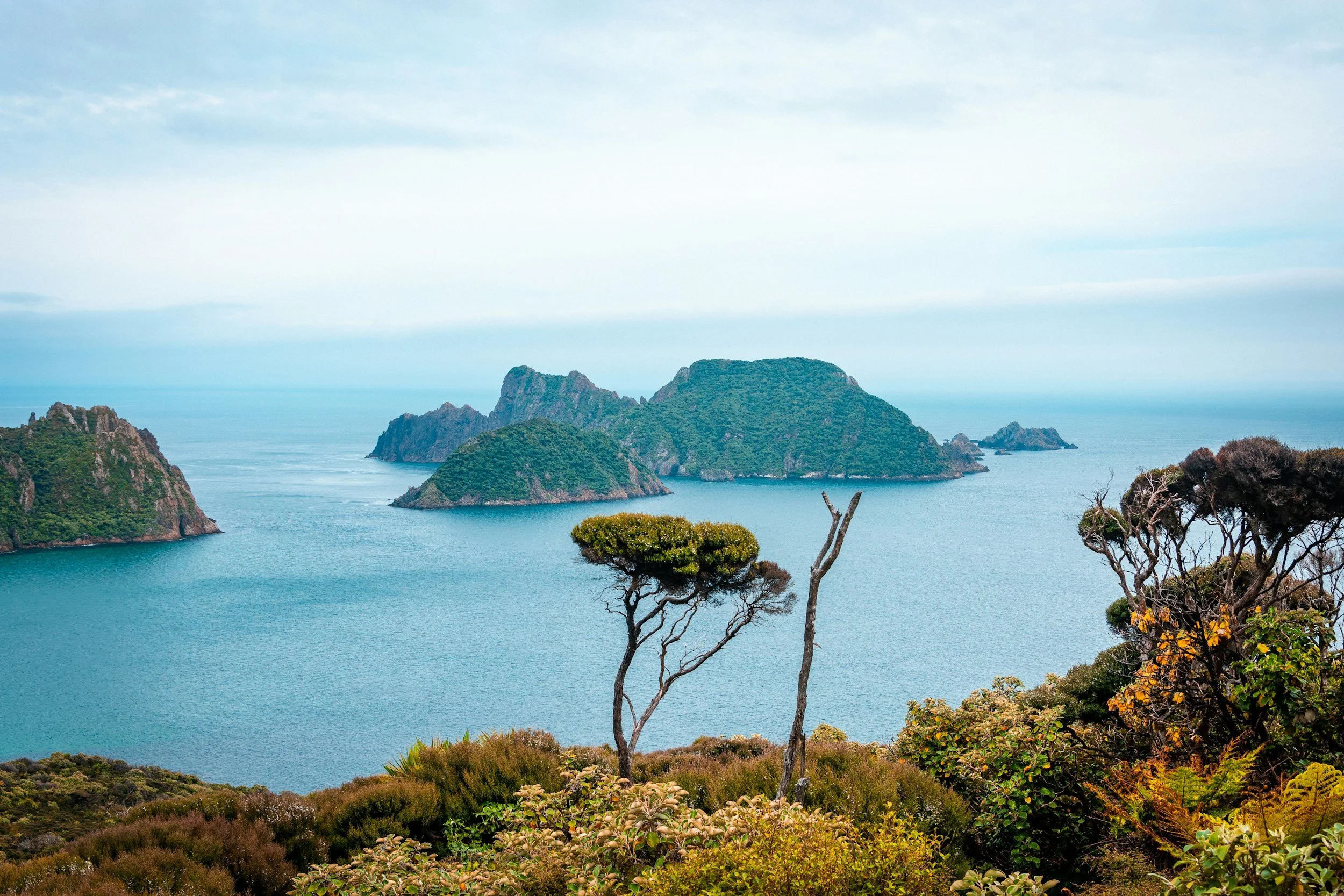 Stewart Island, New Zealand Travel Guide 
