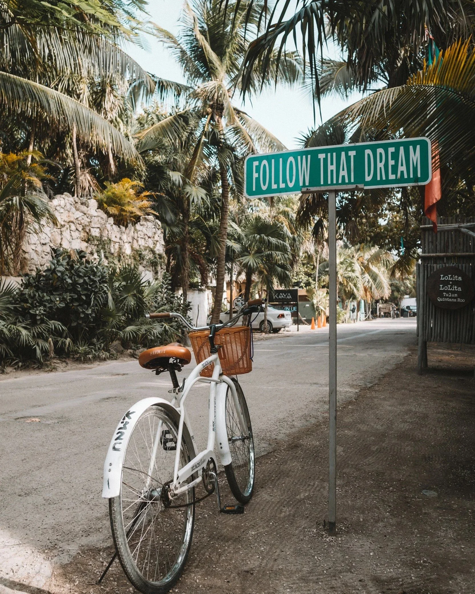 A white bicycle with a wicker basket on a dirt path in front of lush green palm trees, with a street sign that reads 'Follow That Dream' in the background.