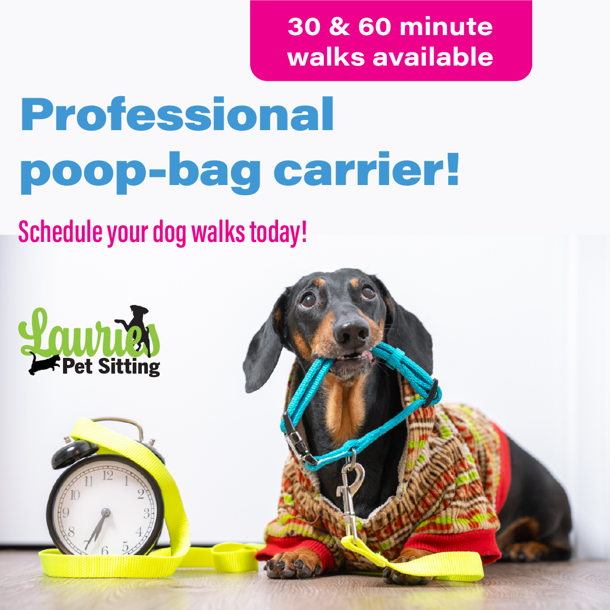 Lauries Pet Sitting Branding - 01-18-2026_LauriesPetSitting-Facebook4.png