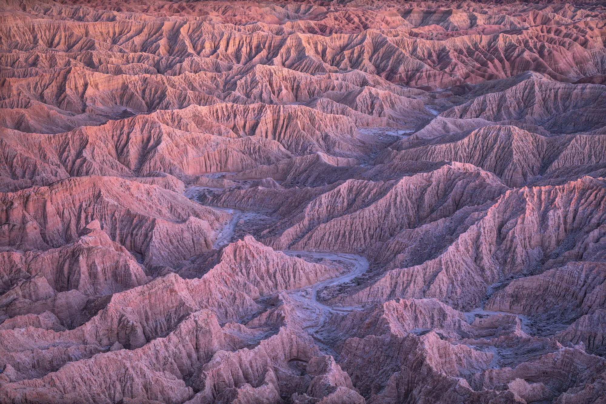 Soft pink desert badlands with winding ridges and layered erosion patterns at sunrise by Alex Noriega.