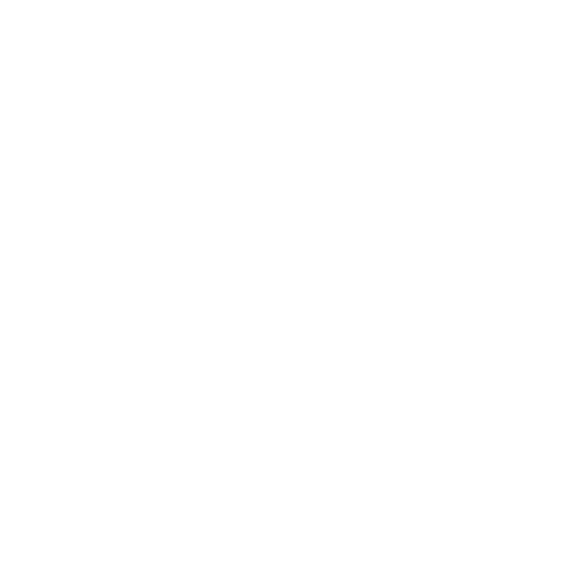 File icon with a camera shutter graphic and the label "RAW".