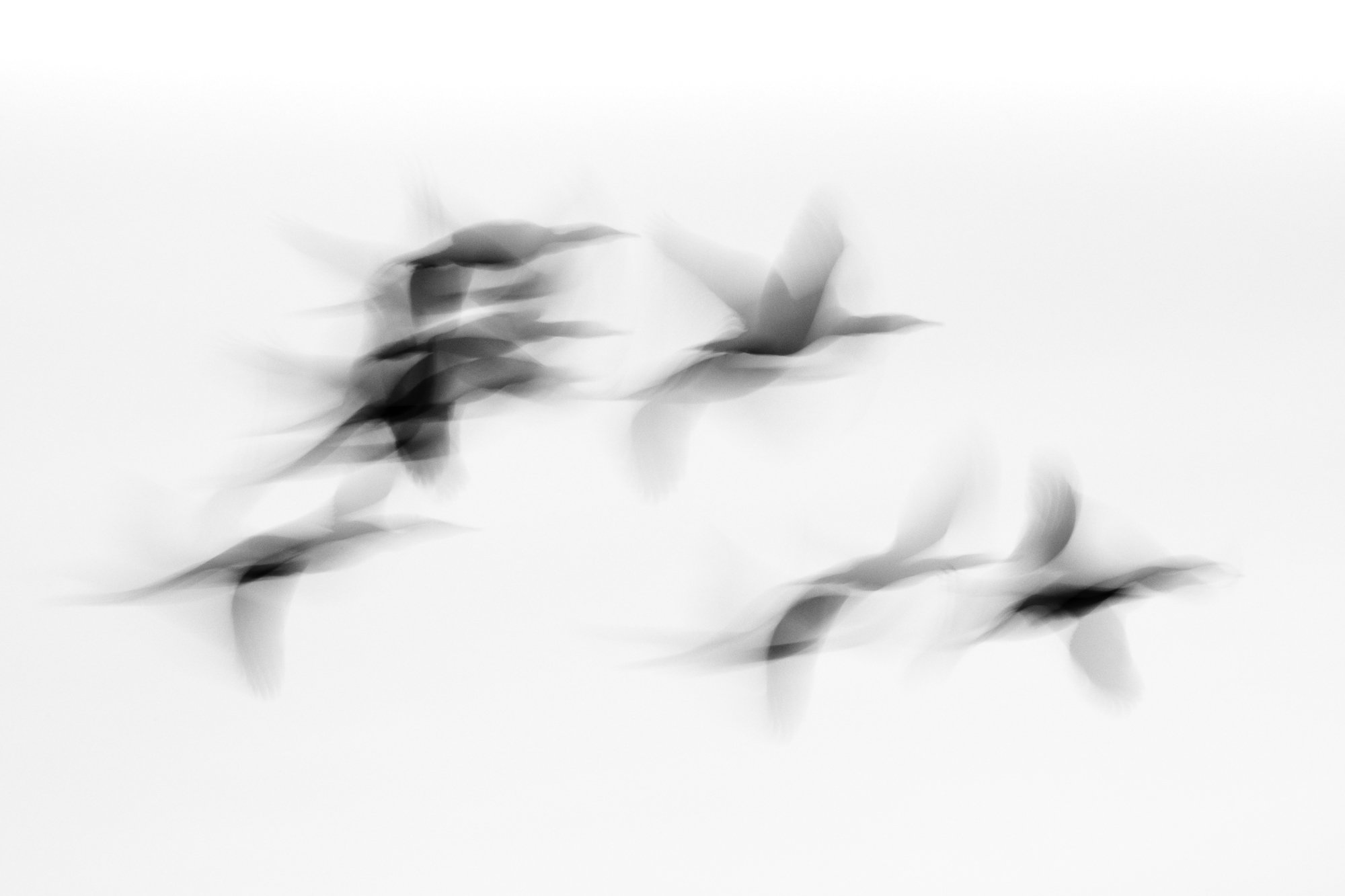 Carra O'Neal // www.carraoneal.com