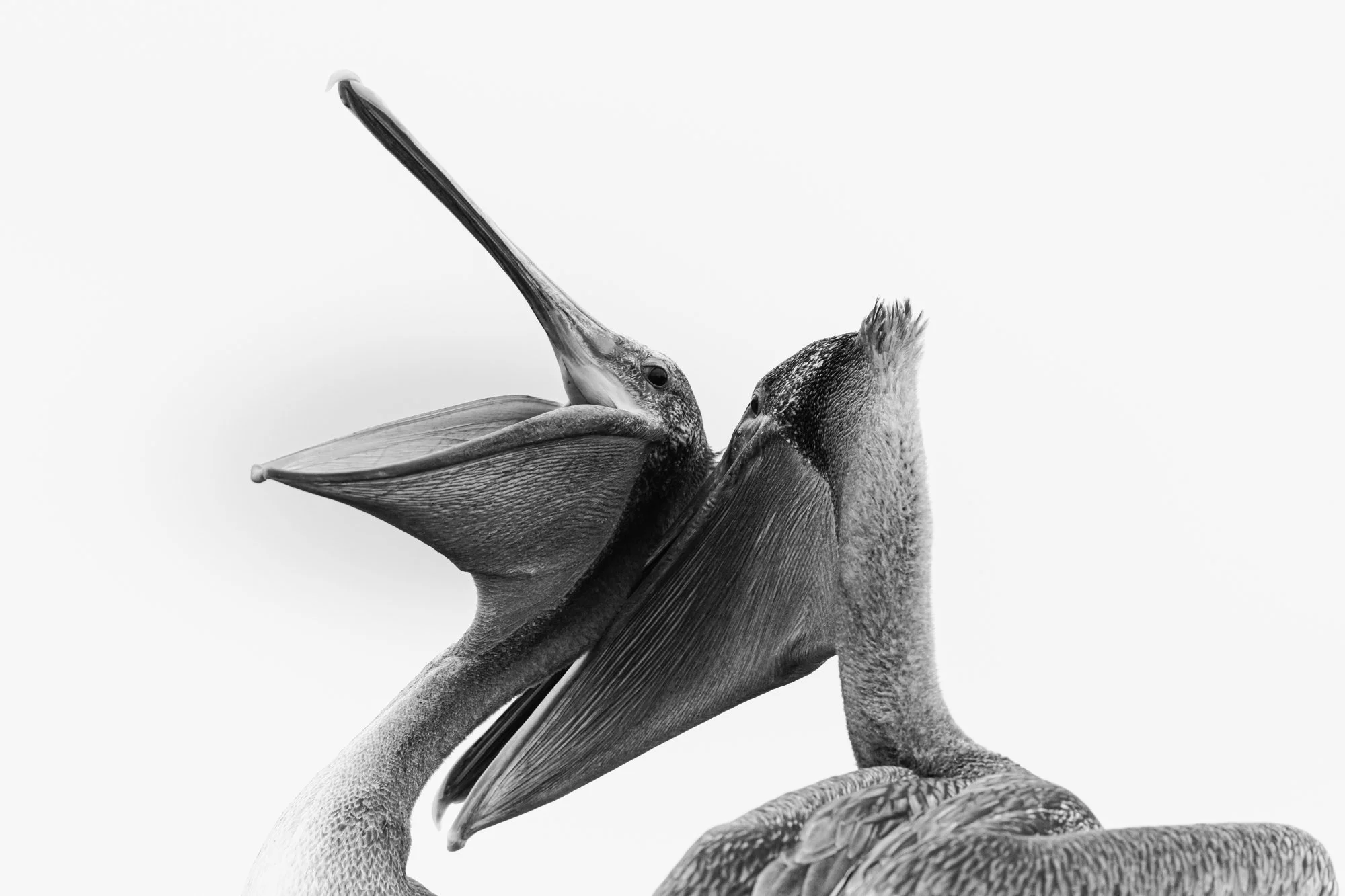 Andrew Wallace // www.andrewwallacephoto.com