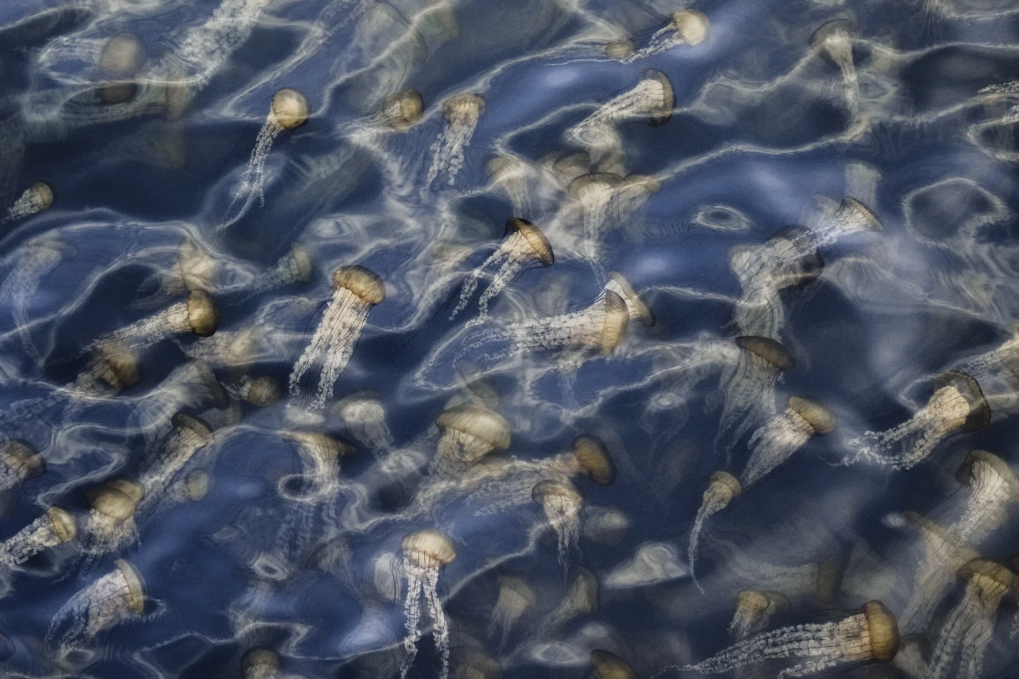 Kent Van Vuren // www.flickr.com/photos/groucho_24