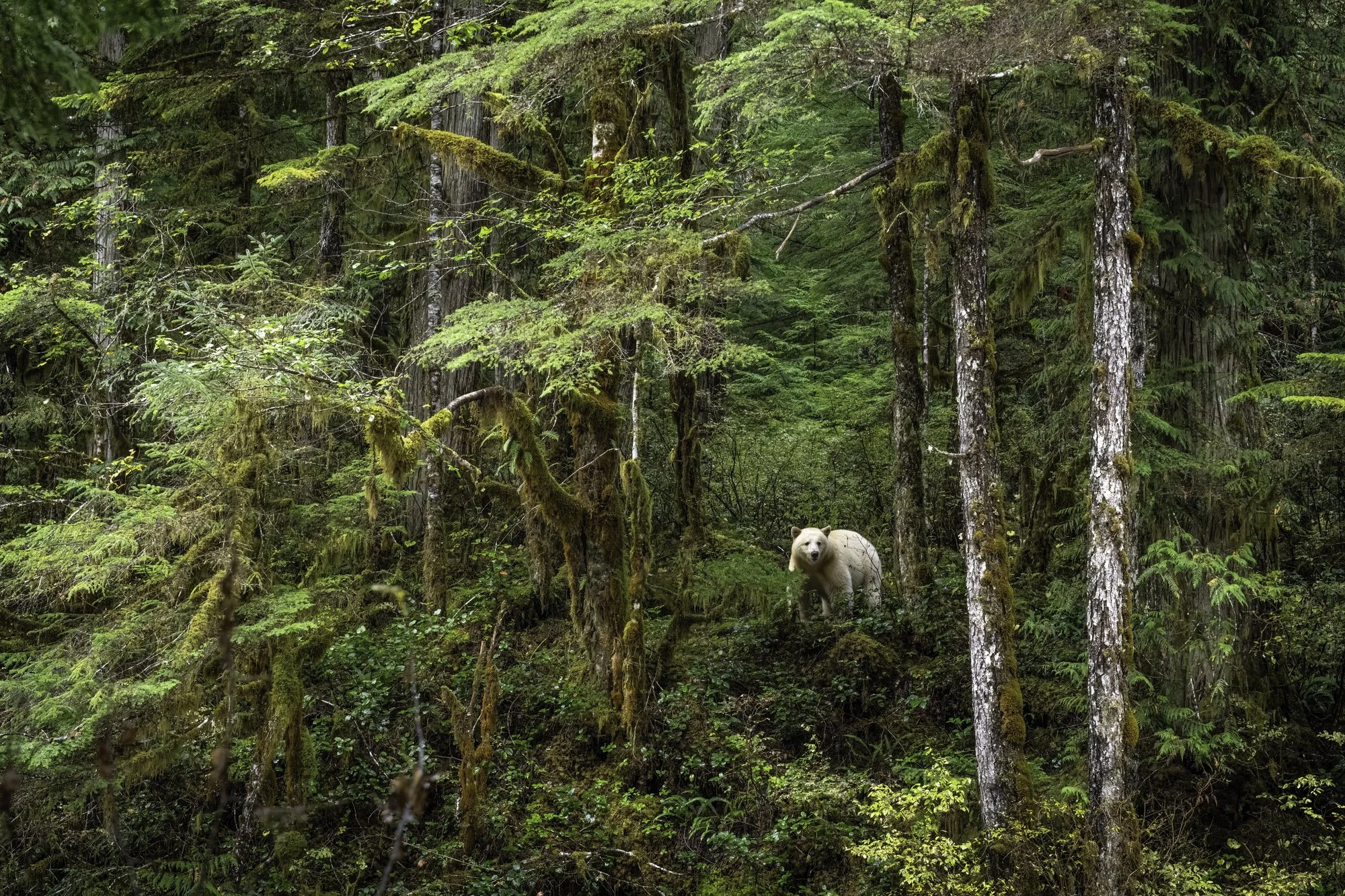 Jack Plant // www.jackplantphotography.com