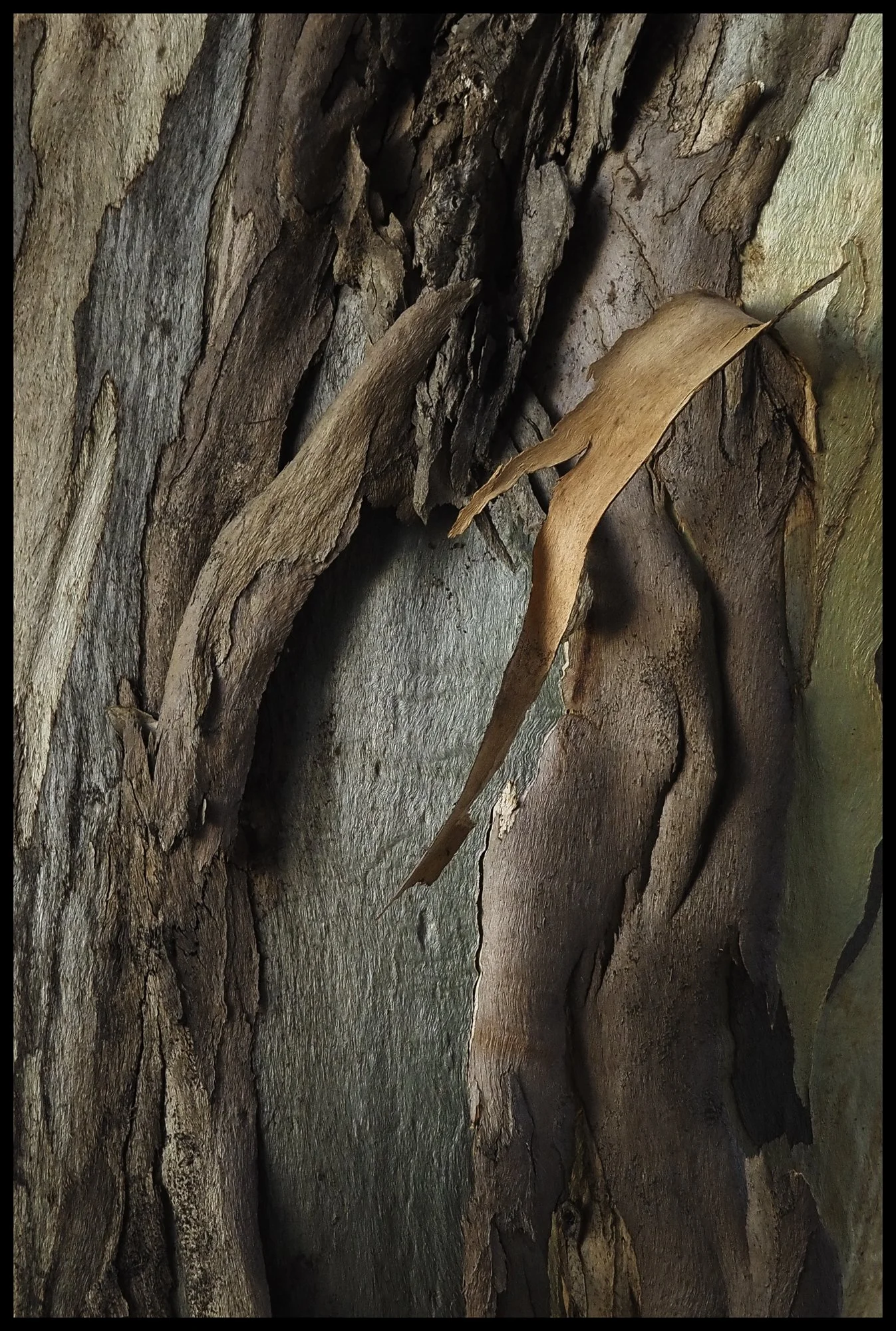 Richard Curtin // www.joyscapes.io