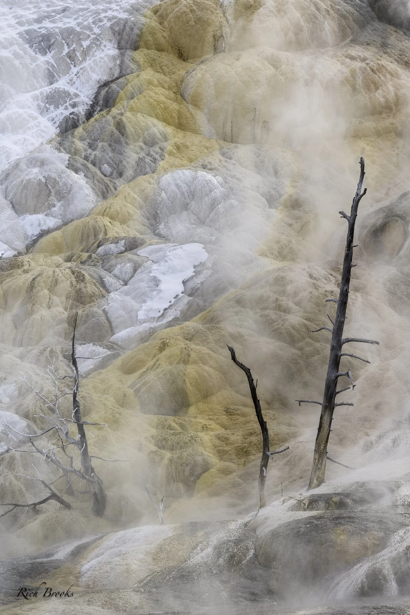 Rich Brooks // www.richbrooksphotos.com