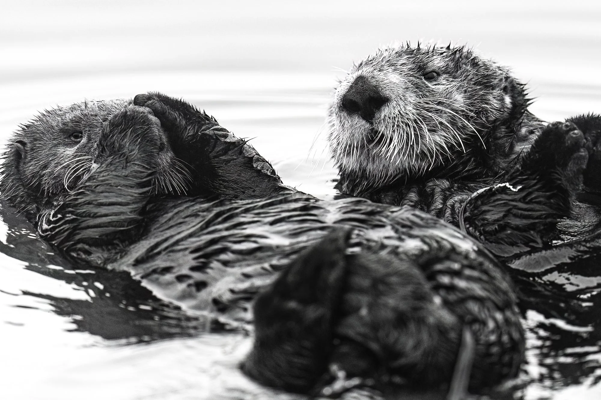 Kevin Lohman // www.kevinlohman.com