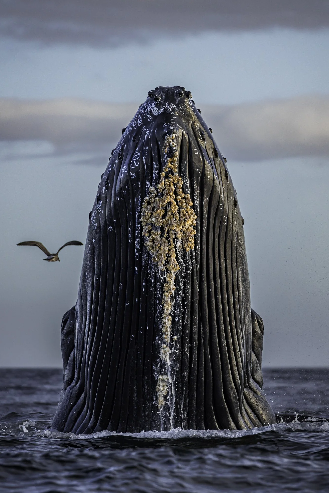 Slater Moore // www.slatermoore.photography