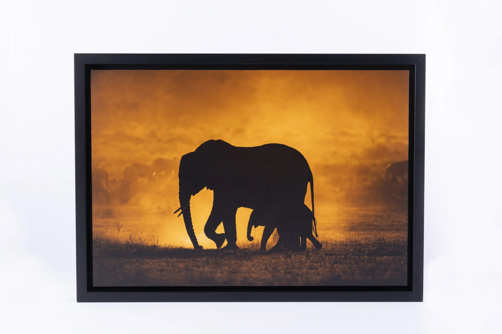 Silhouettes of an adult elephant and a baby elephant walking in a sunset environment with orange and yellow sky in the background.