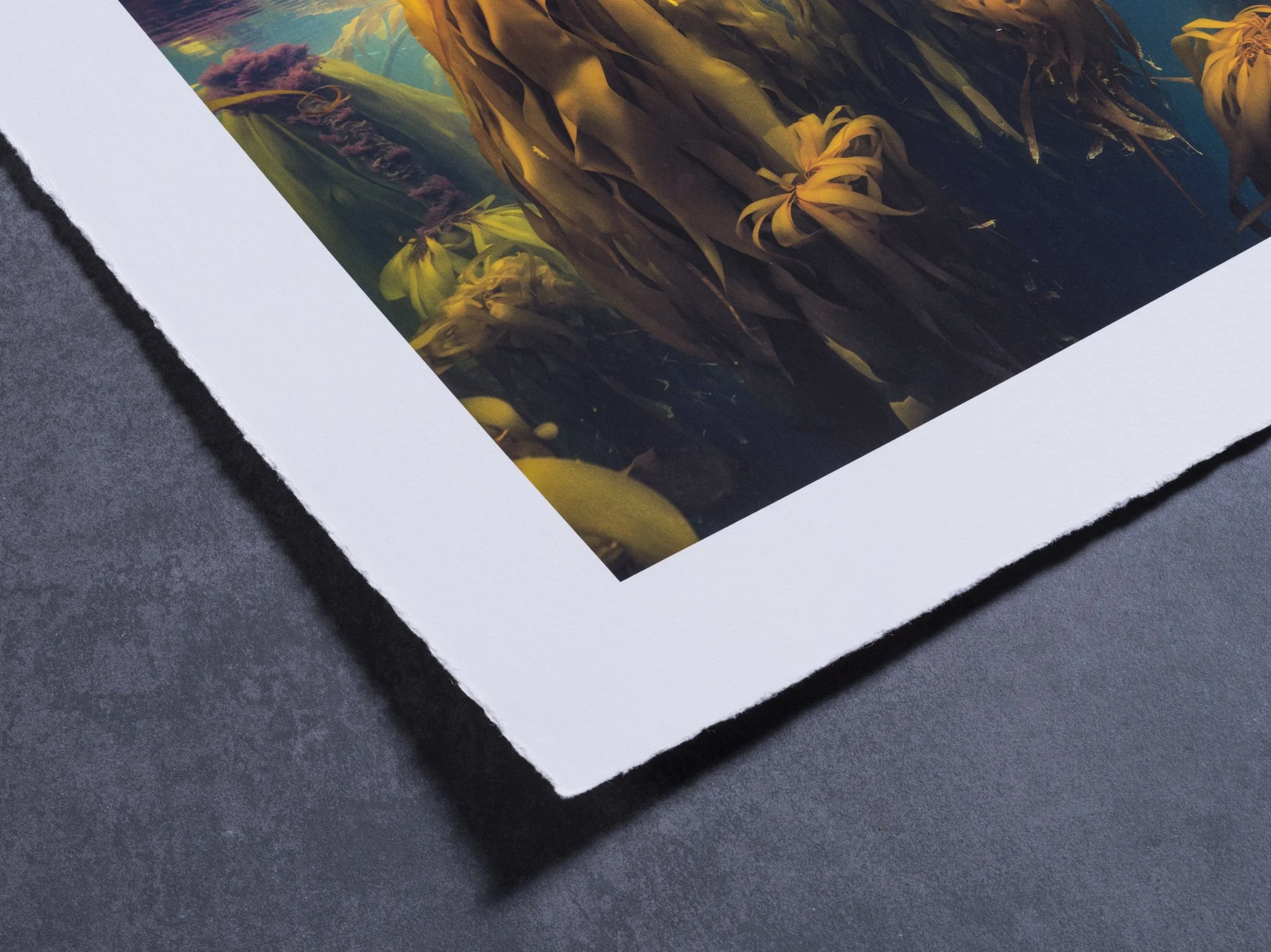 Close-up of a printed photo on textured paper edge, featuring an outdoor scene with tall flowers and green foliage under a clear sky.