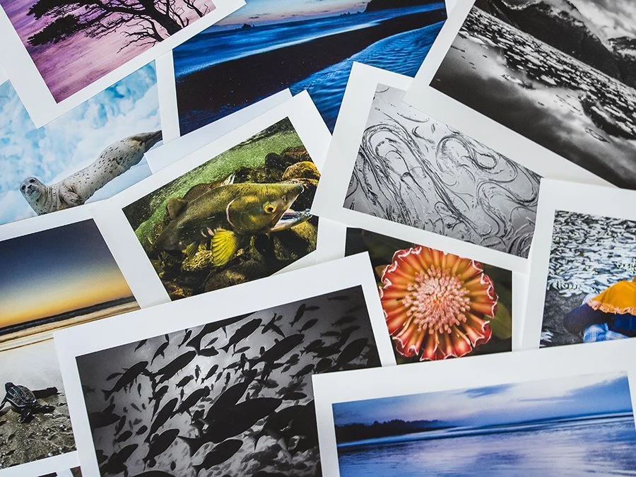 Collection of various nature photographs, including landscapes, animals, plants, and underwater scenes.