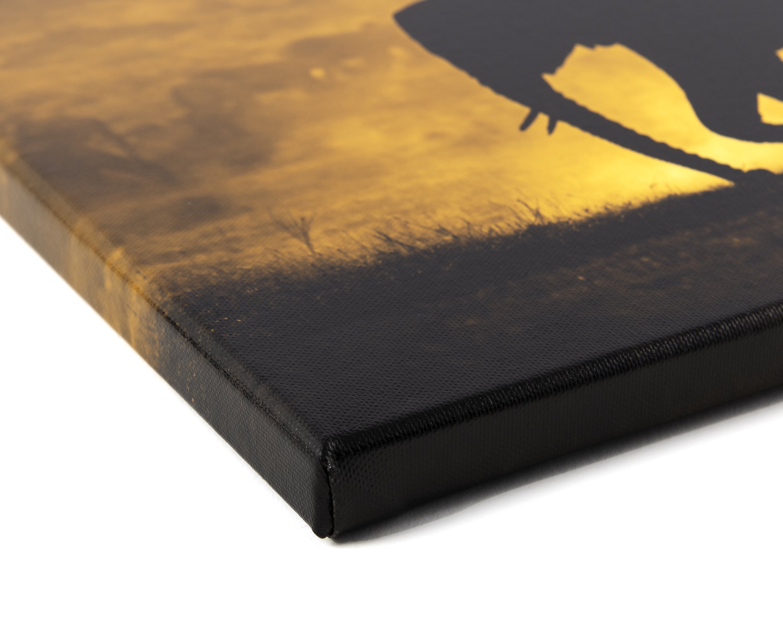 Close-up of a canvas print featuring an orange sunset landscape with silhouettes of trees and a black silhouette of a lizard.