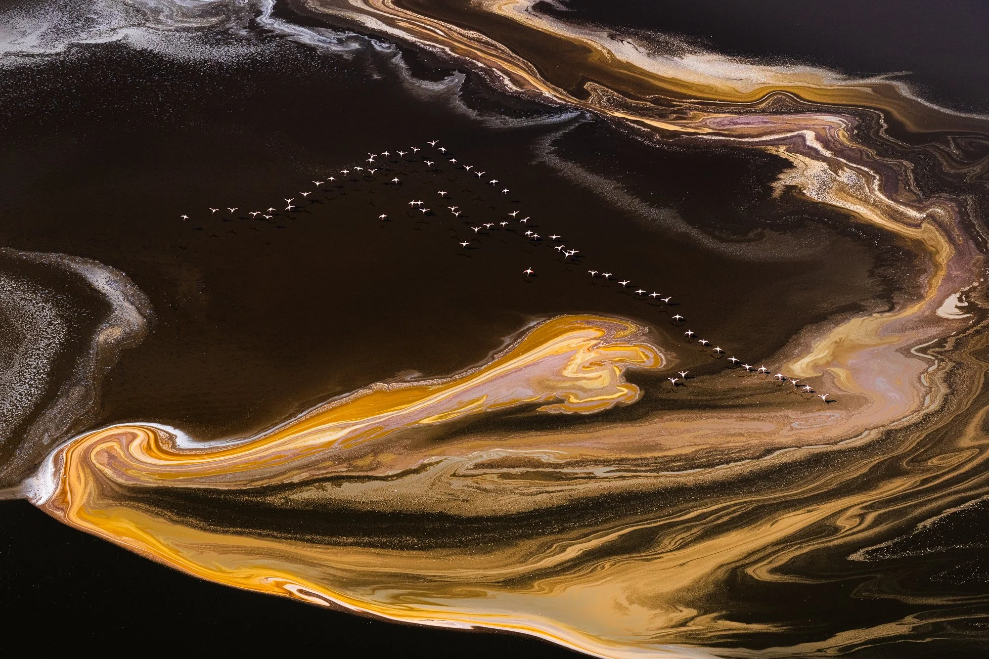 Aerial photo of birds in flight over Lake Magadi in Kenya. Image by David duChemin