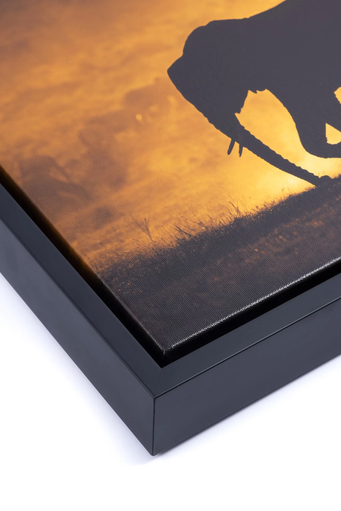 Close-up of a framed artwork featuring a silhouette of a dinosaur against an orange sunset background.