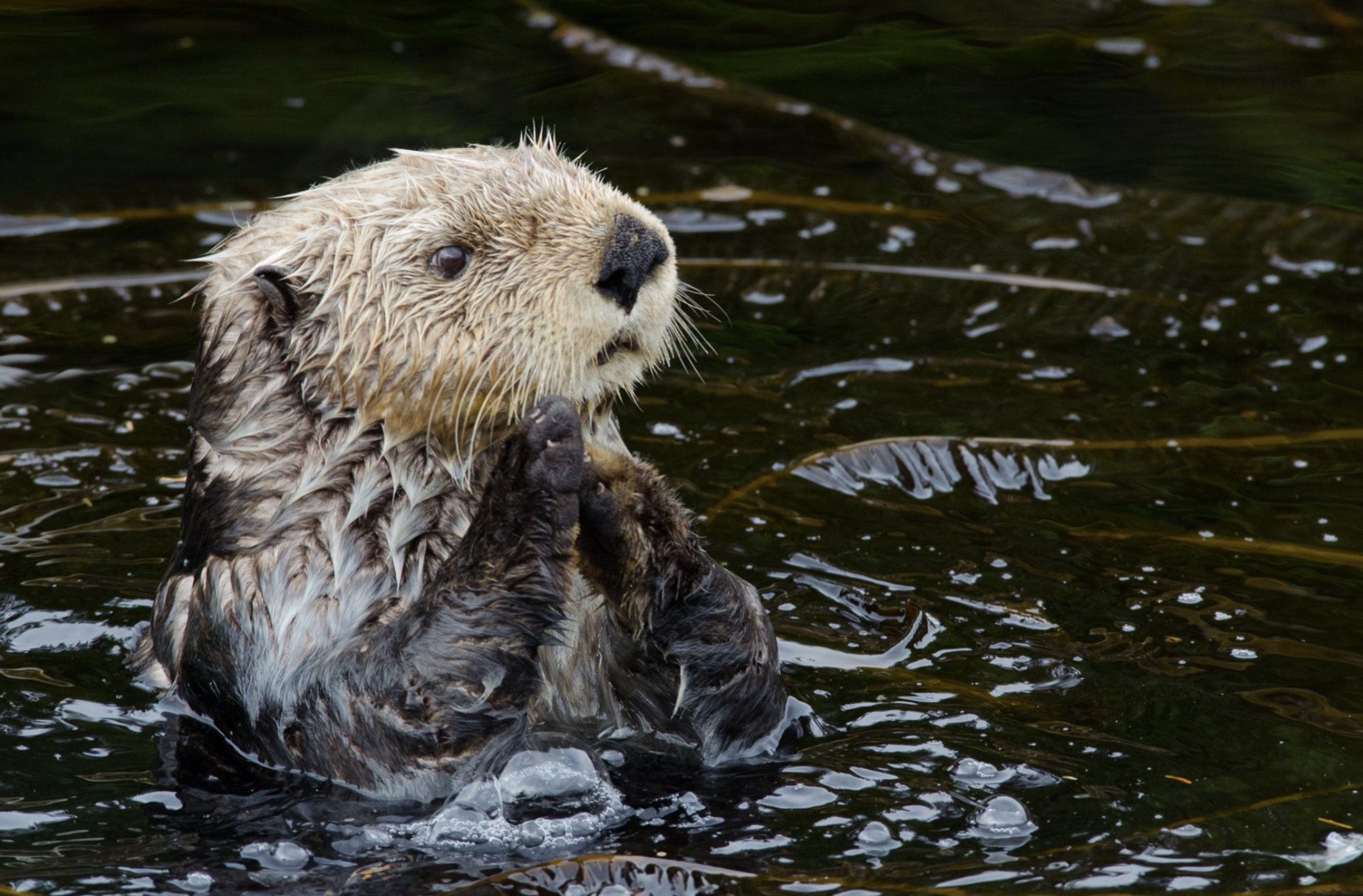 Screenshot 2024-04-18 at 12.23.34 PM.png