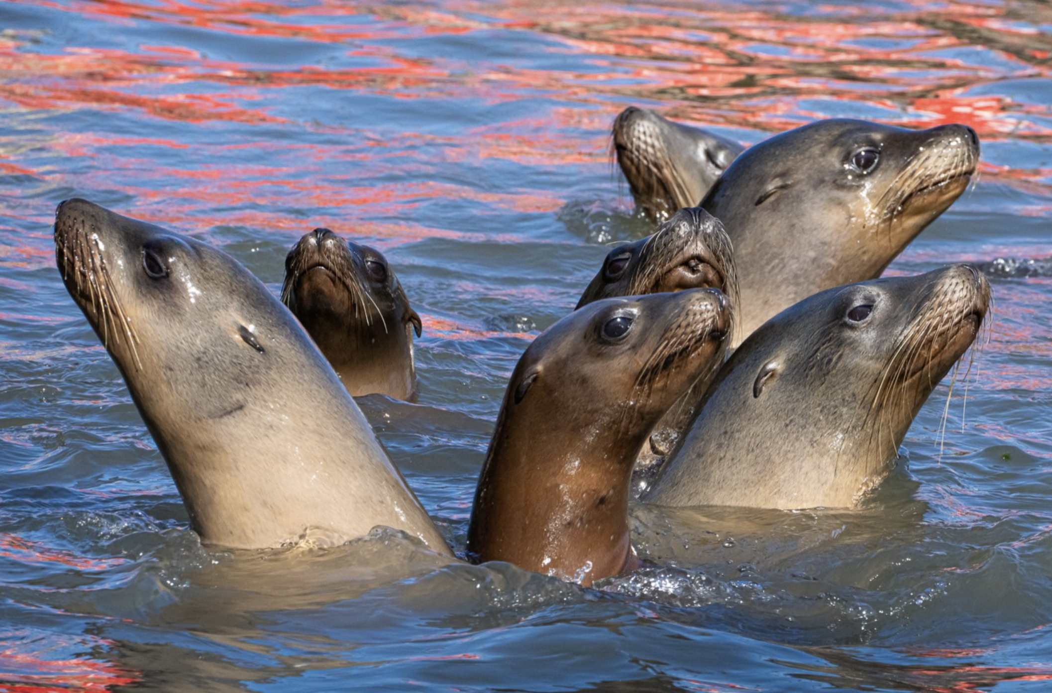 Screenshot 2024-04-18 at 12.23.53 PM.png