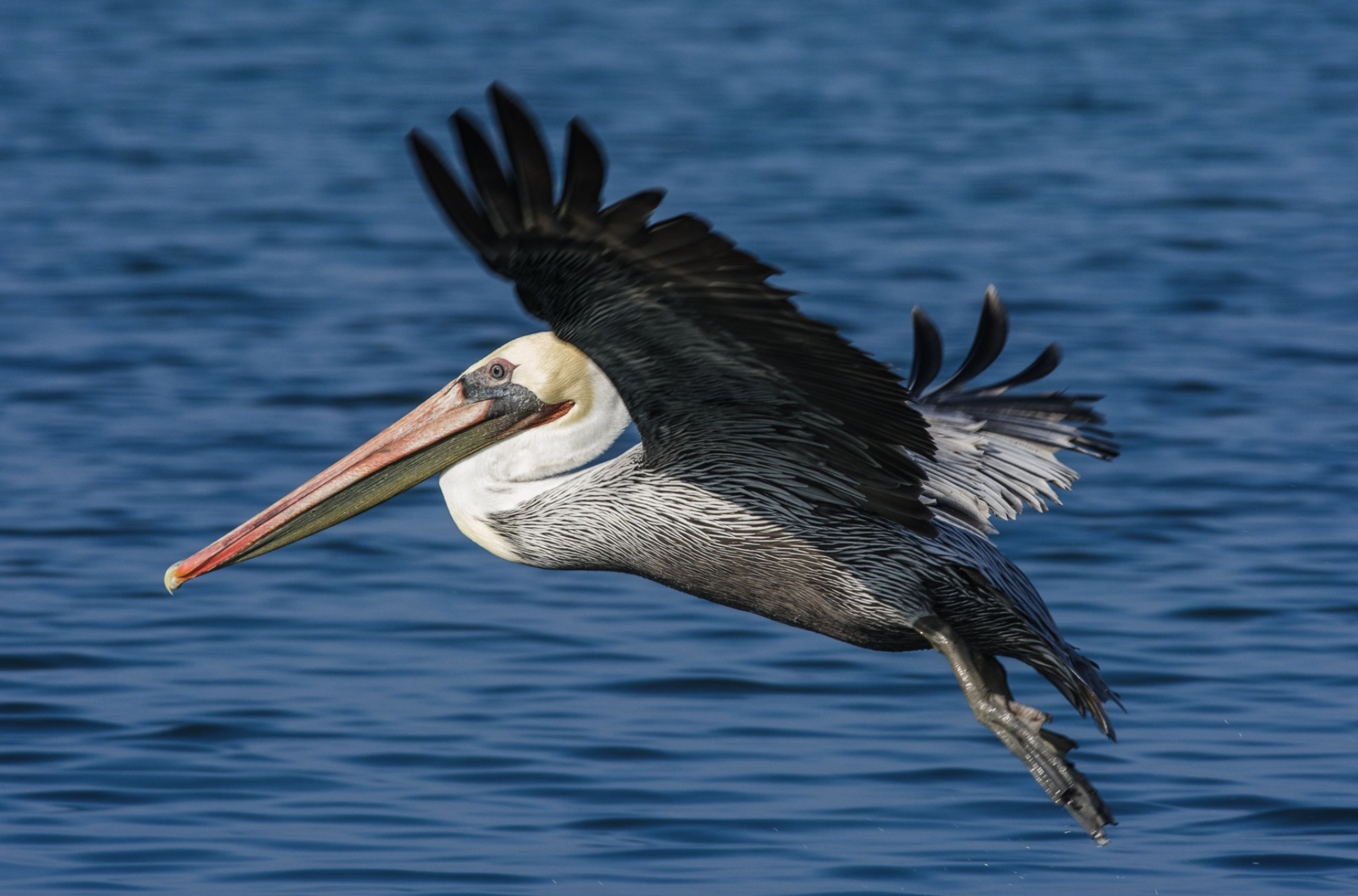 Screenshot 2024-04-18 at 12.24.15 PM.png