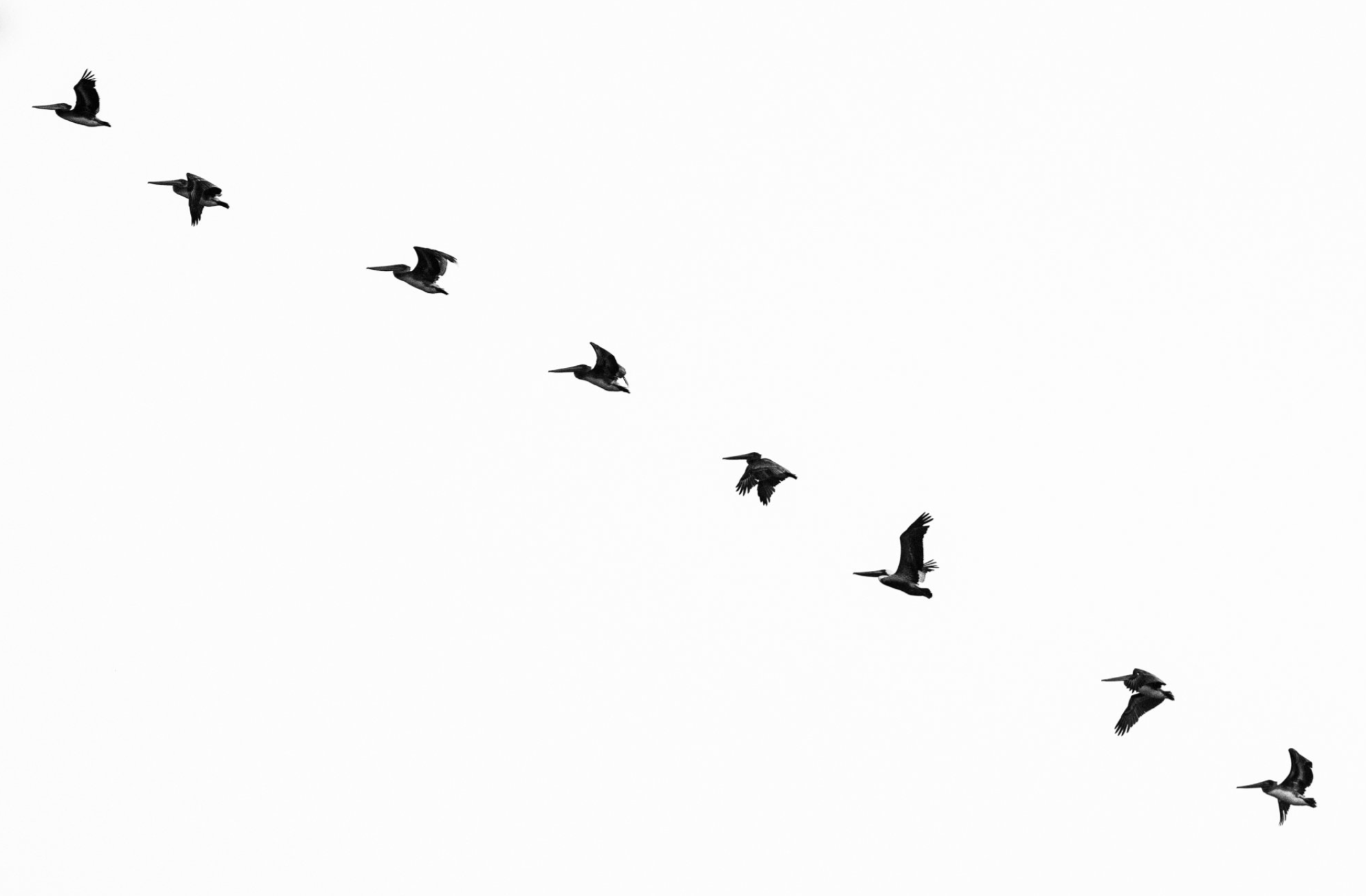 Screenshot 2024-04-18 at 12.24.01 PM.png